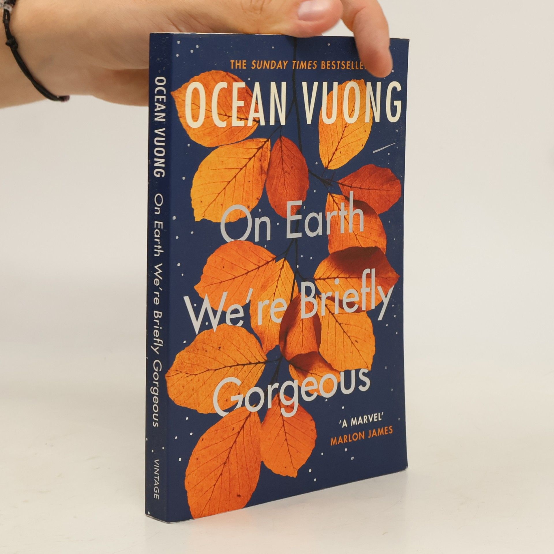 Ocean Vuong On Earth We're Briefly Gorgeous