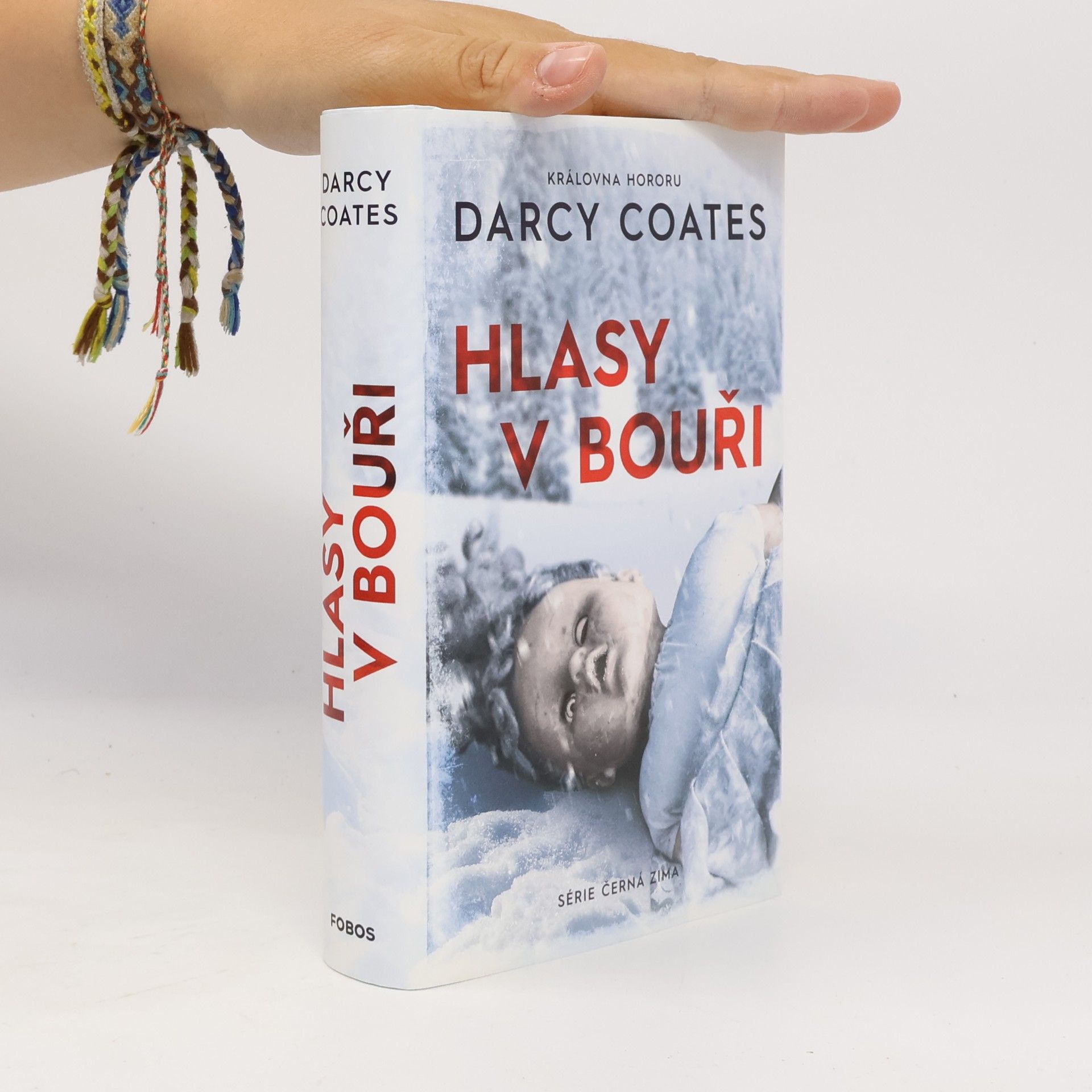 Darcy Coates Hlasy v bouři