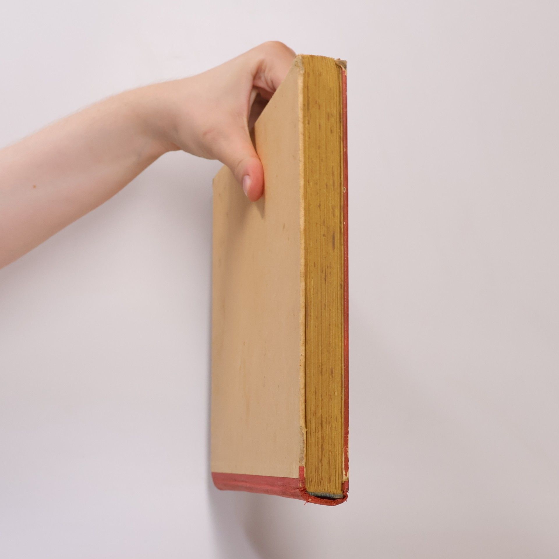 Marie Majerová Čarovný svět