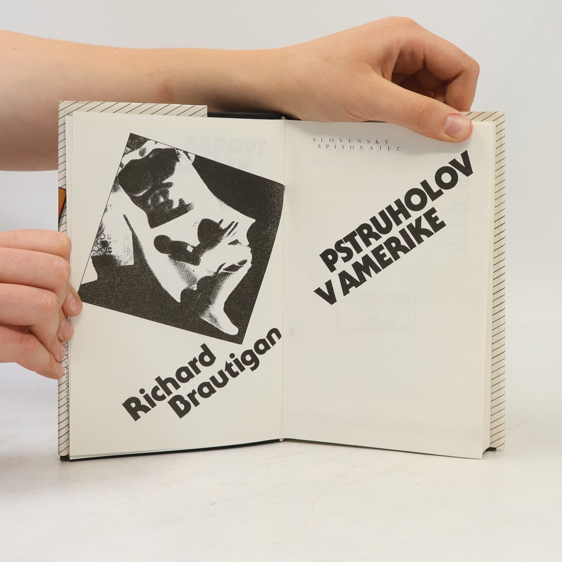 Richard Brautigan Pstruholov v Amerike