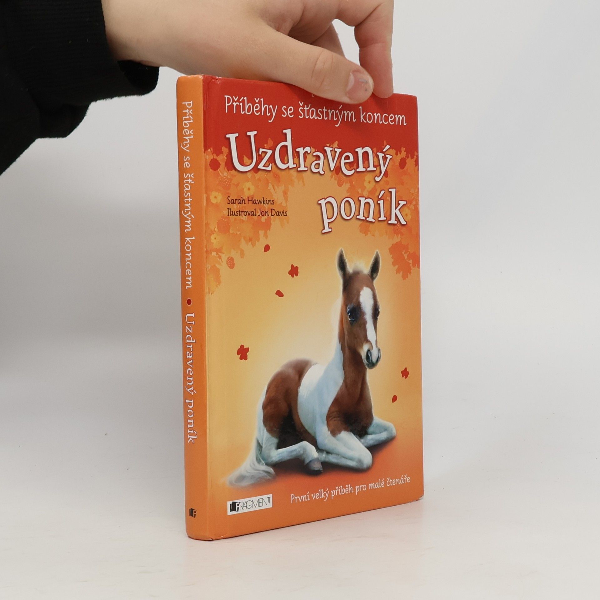 Sarah Hawkins Uzdravený poník