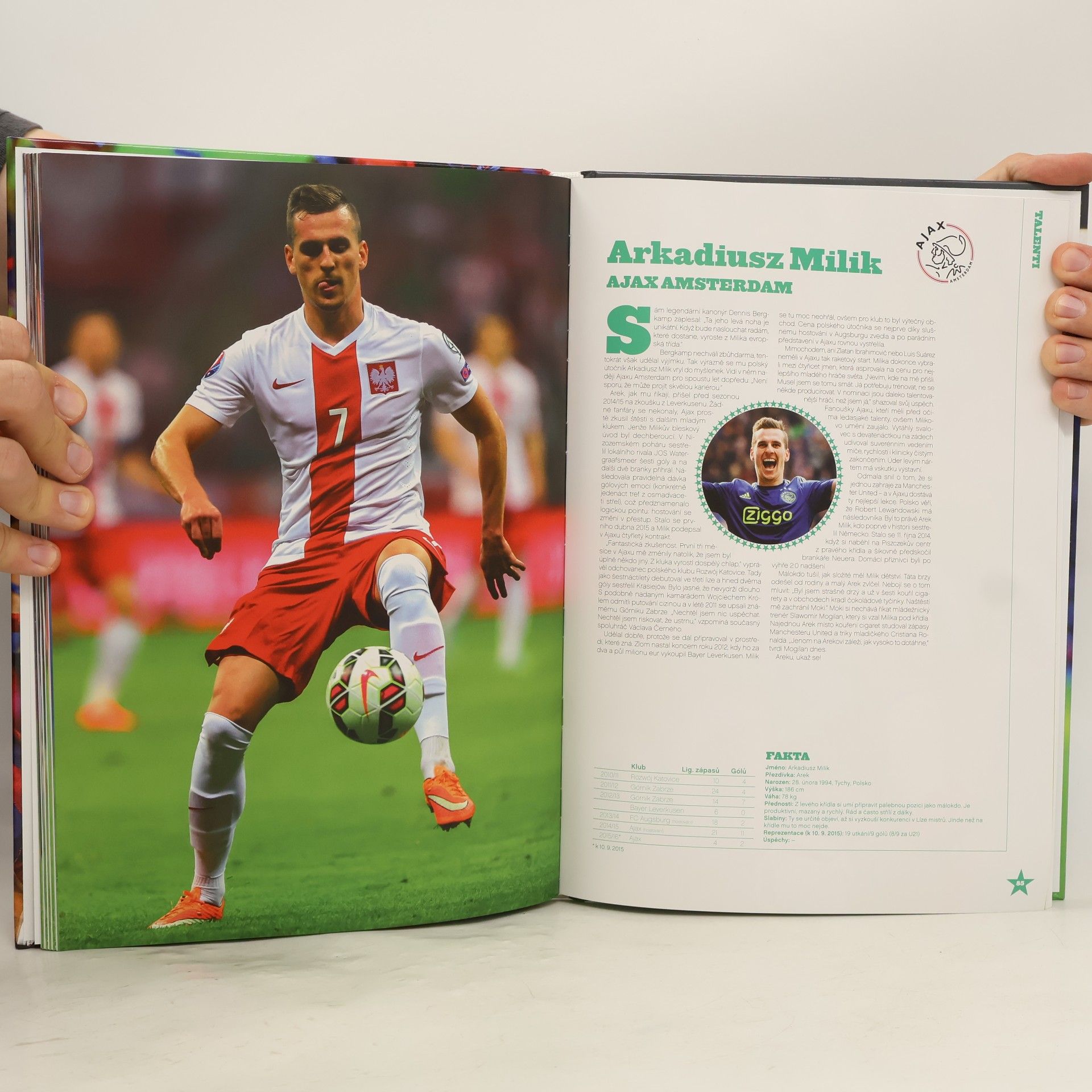 Jan Palička Fotbalové hvězdy 2016