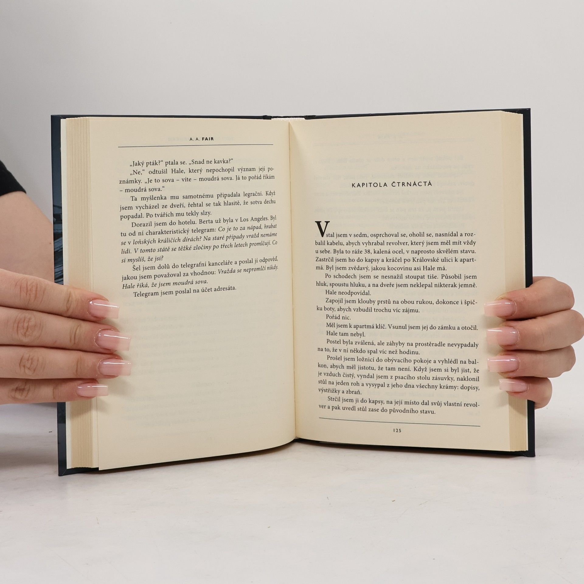 Erle Stanley Gardner Sovy mají oči dokořán