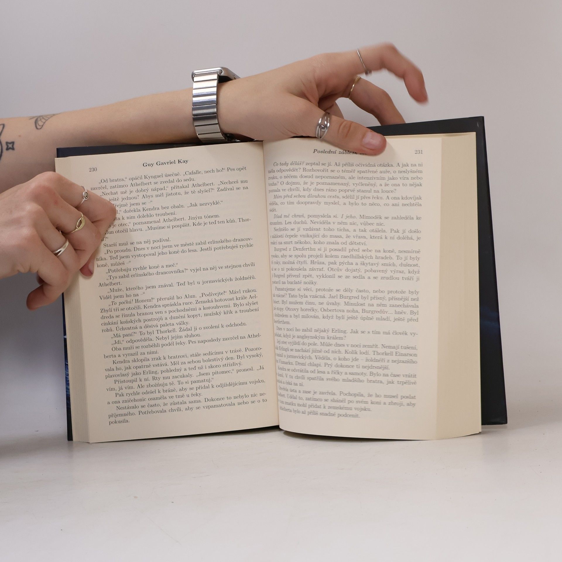 Guy Gavriel Kay Poslední záblesk slunce