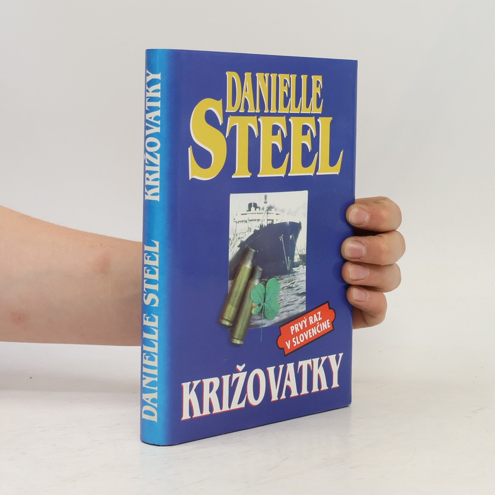 Danielle Steel Križovatky
