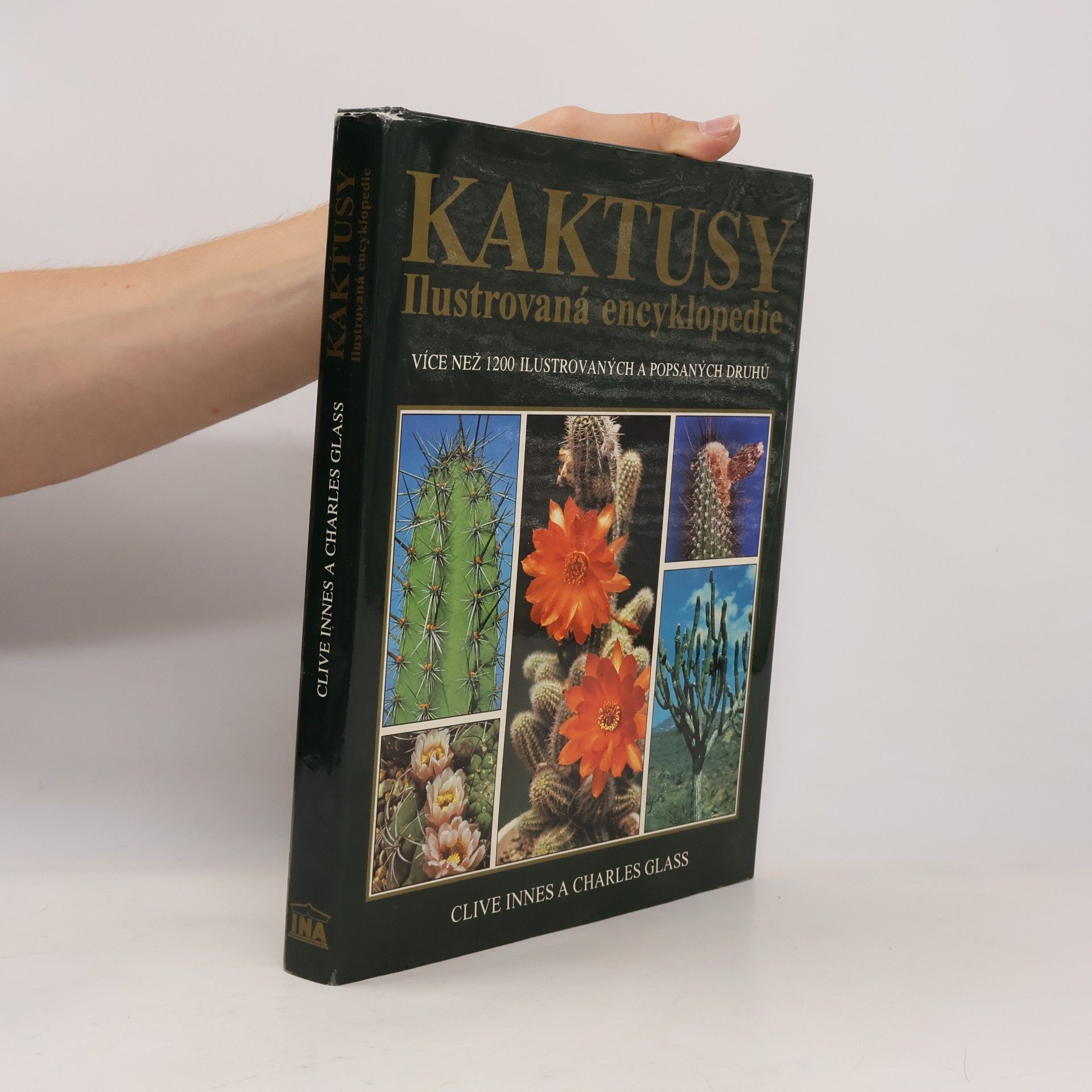 Clive Innes Kaktusy