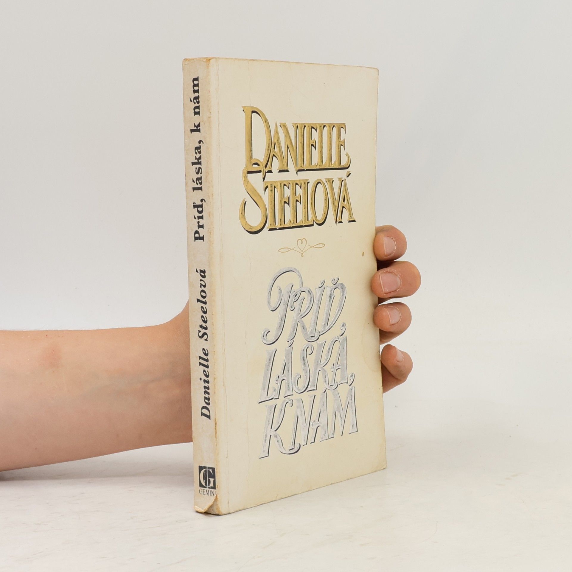 Danielle Steel Príď, láska k nám