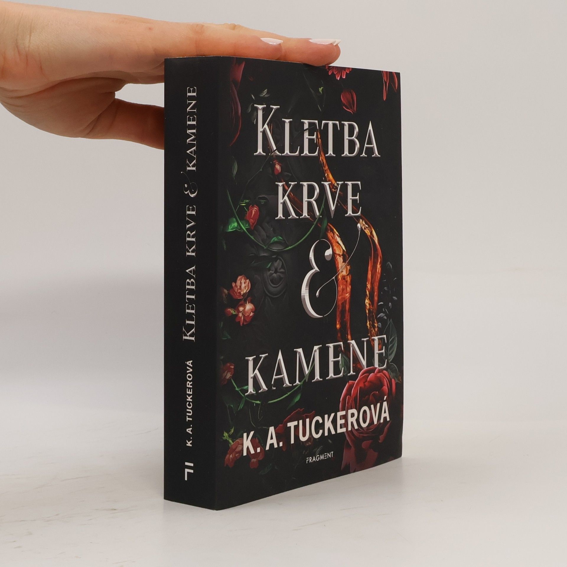 K. A. Tucker Hněv a oheň 2. Kletba krve a kamene