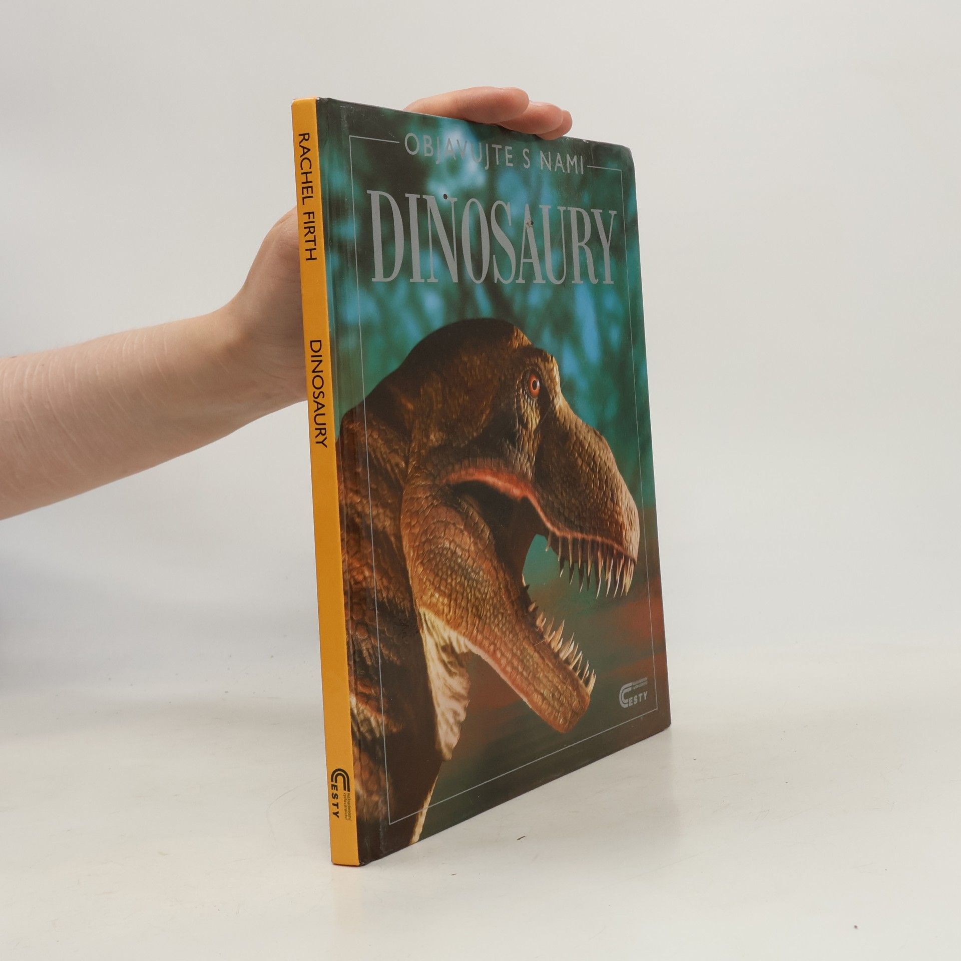 Rachel Firth Dinosaury