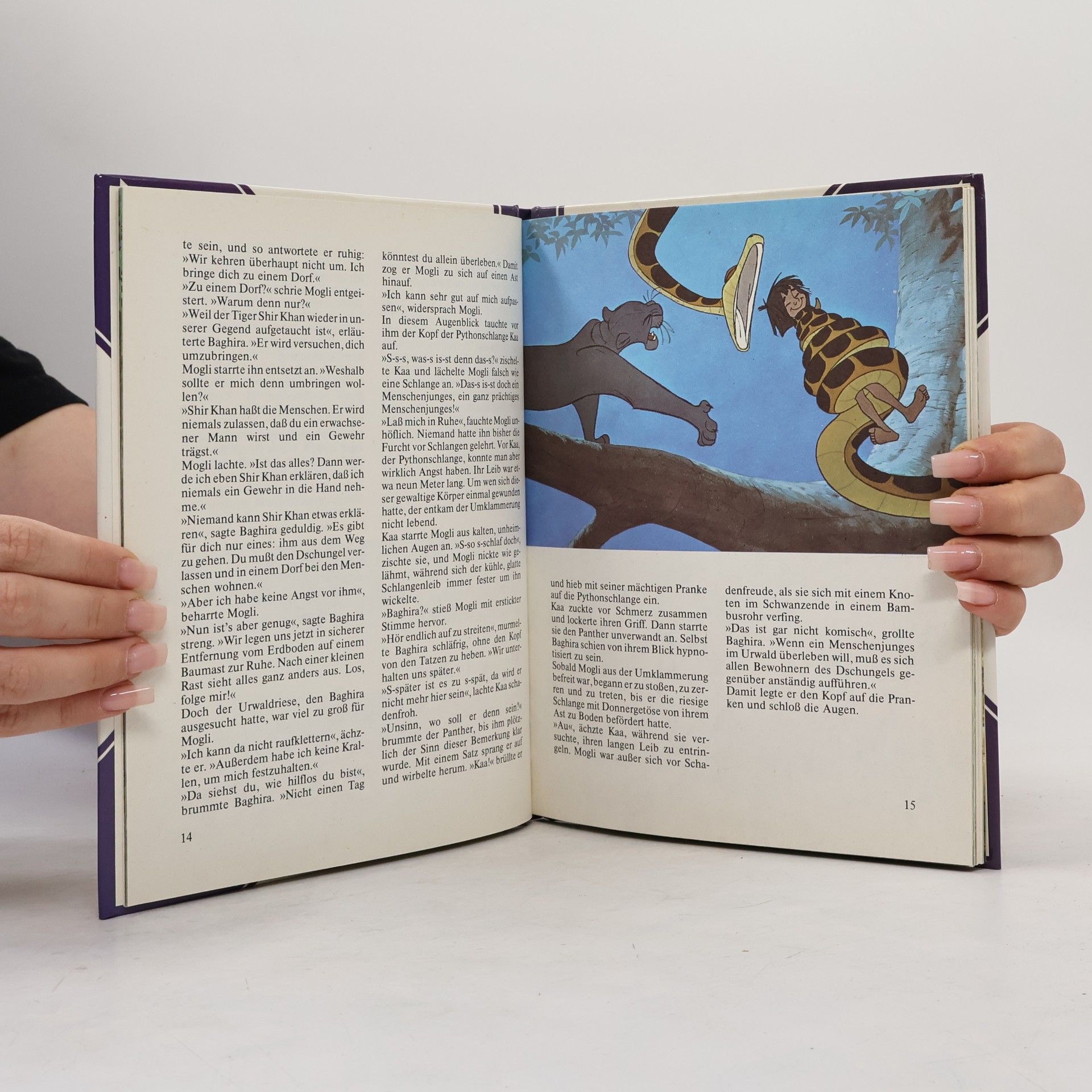 Rudyard Kipling Das Dschungelbuch
