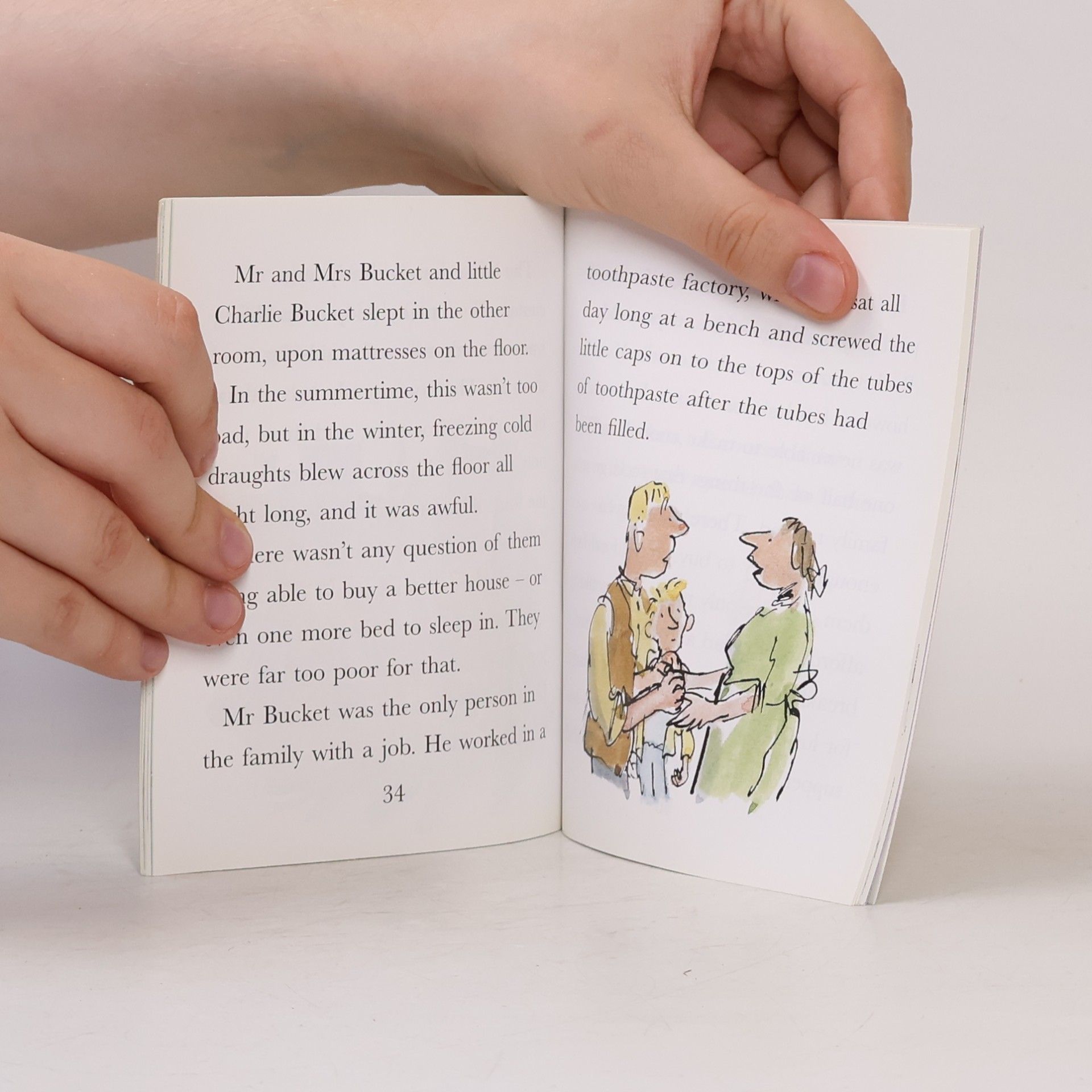 Roald Dahl Fantastic Families
