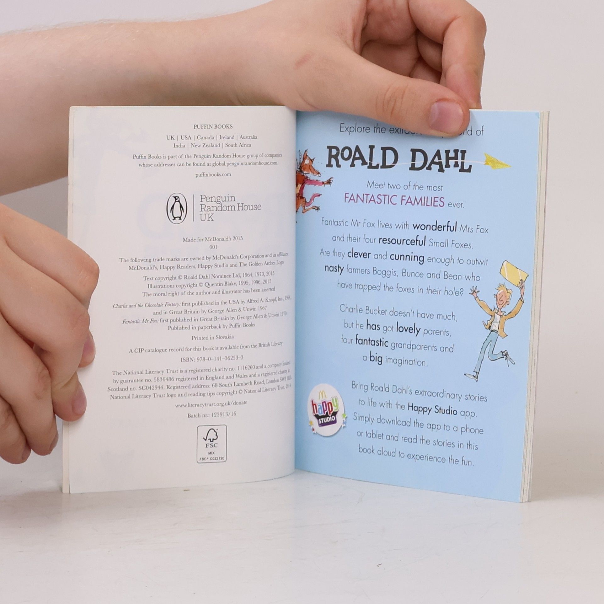 Roald Dahl Fantastic Families