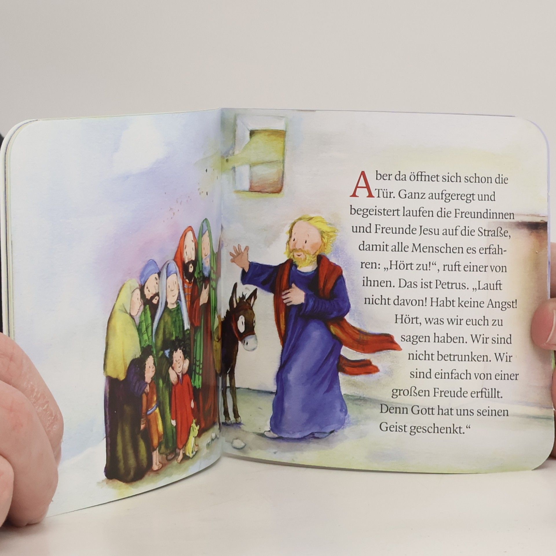 Susanne Brandt Don Bosco Minis: Die Geschichte von Pfingsten