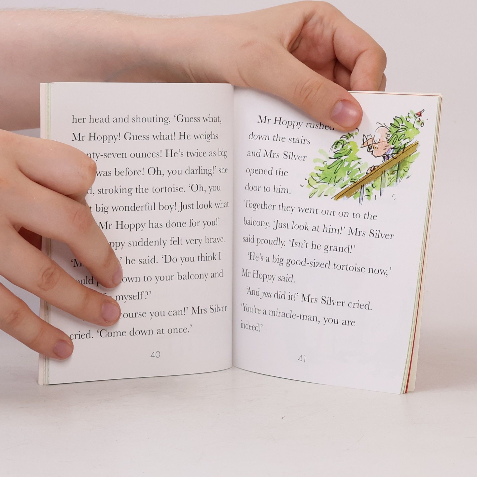 Roald Dahl Miraculous ever growing tortoise