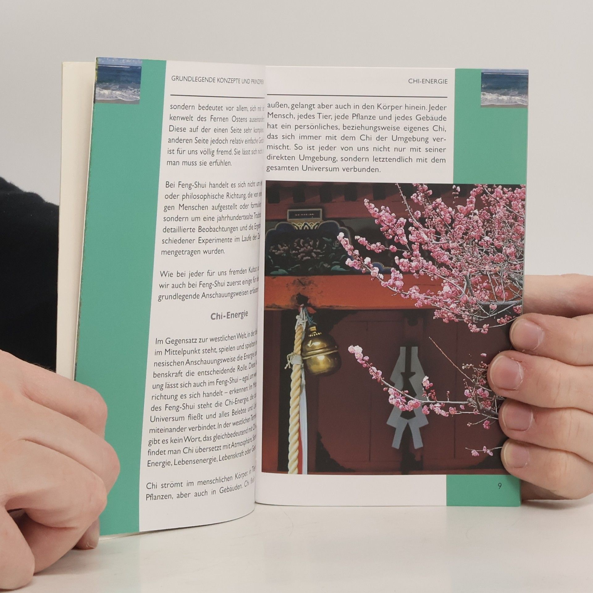Auteurscollectief Feng-Shui