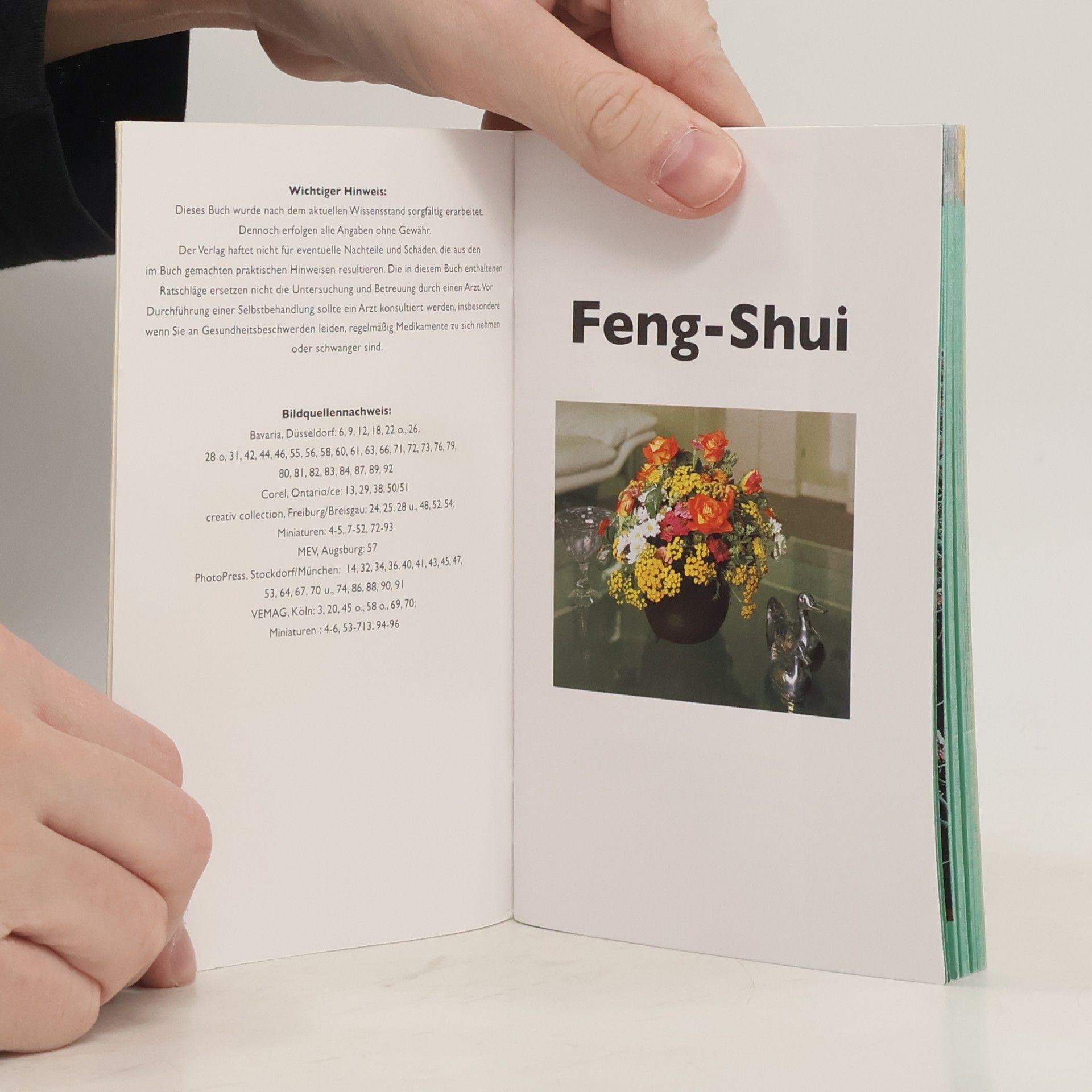Auteurscollectief Feng-Shui