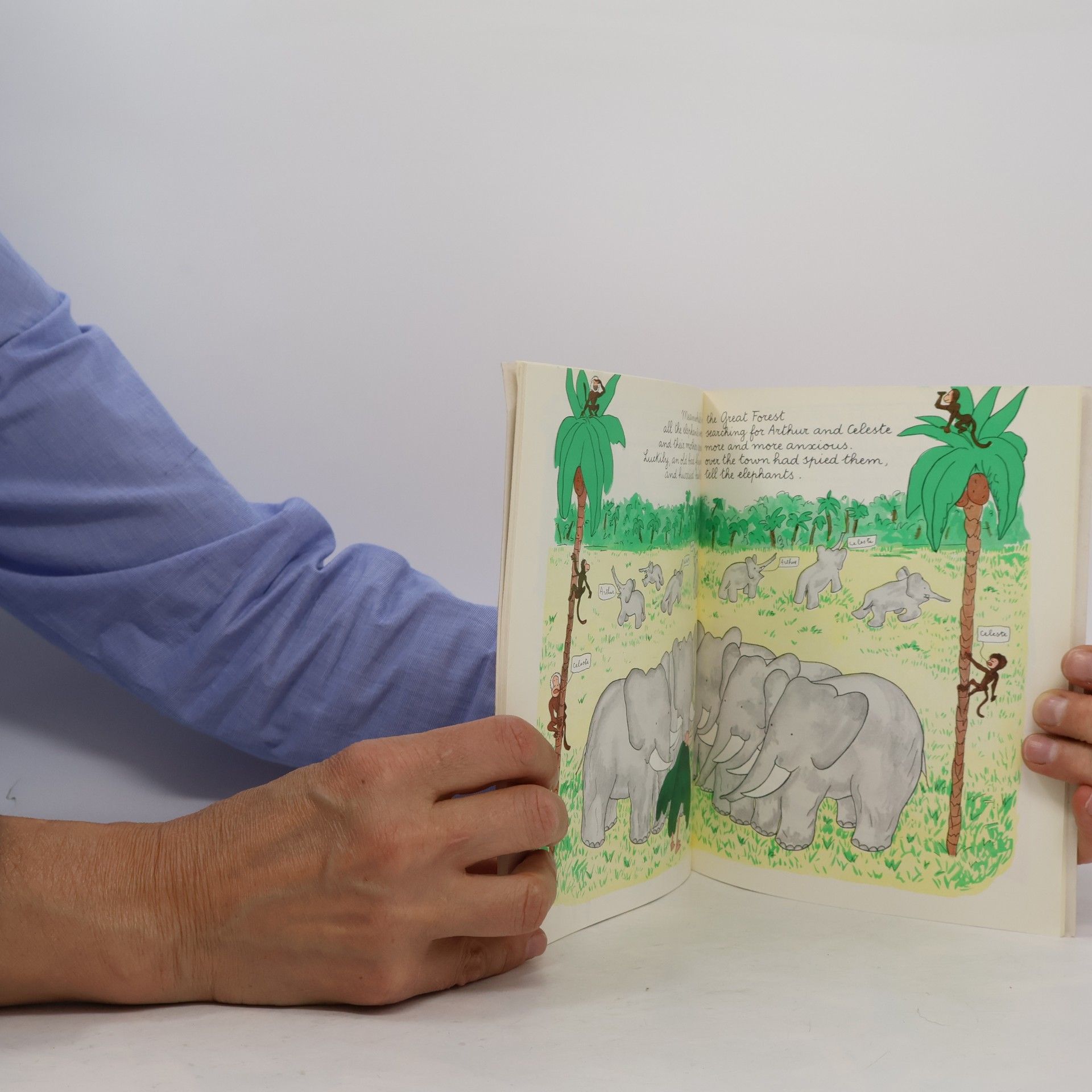 Jean de Brunhoff The Story of Babar