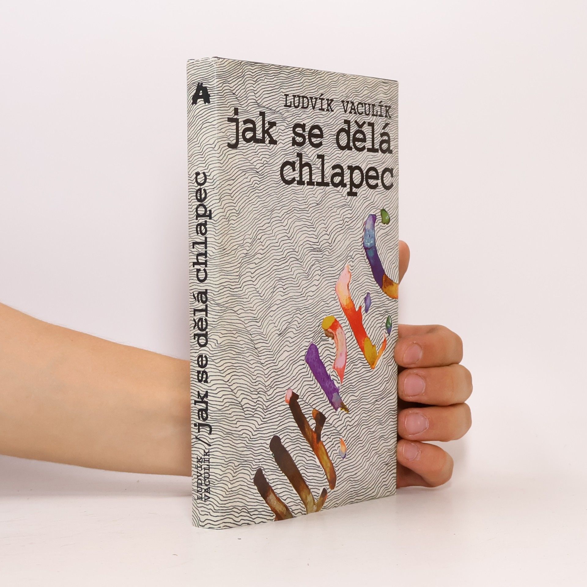 Ludvík Vaculík Jak se dělá chlapec