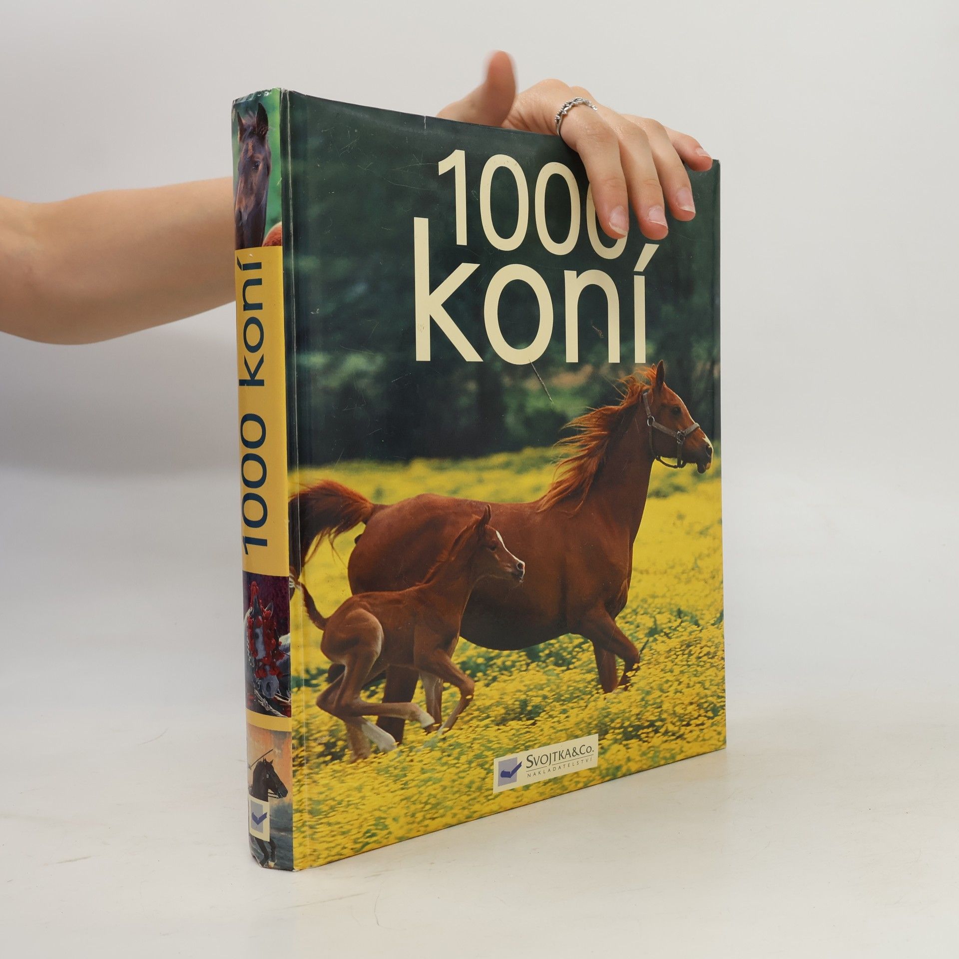 Ulrike Schöber 1000 koní
