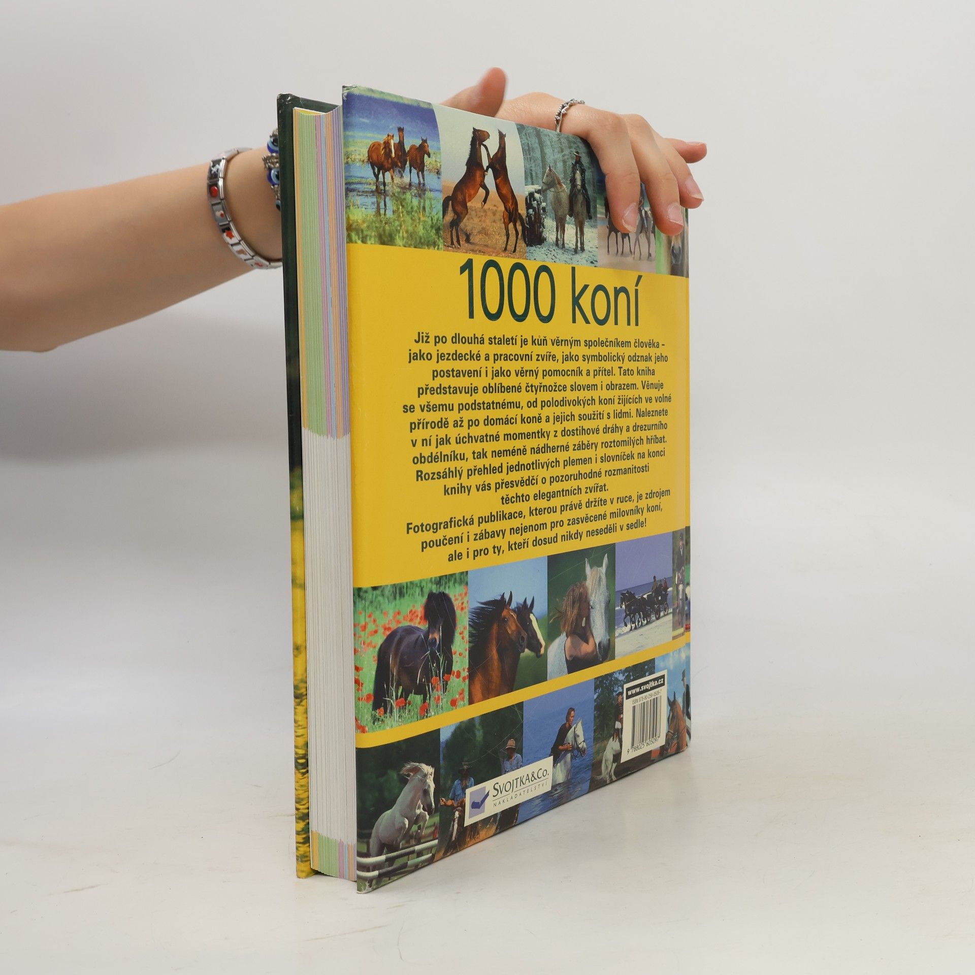 Ulrike Schöber 1000 koní