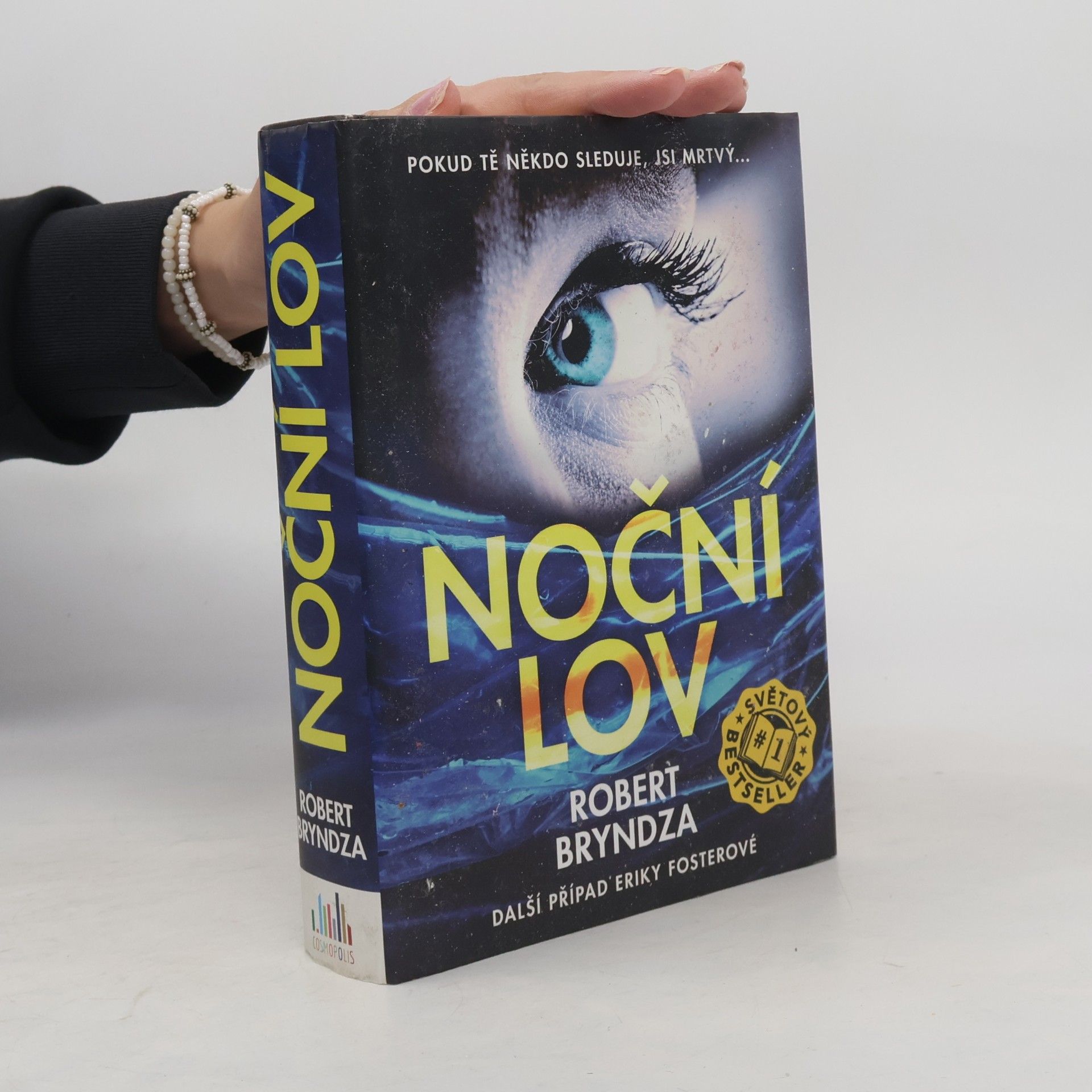 Robert Bryndza Noční lov