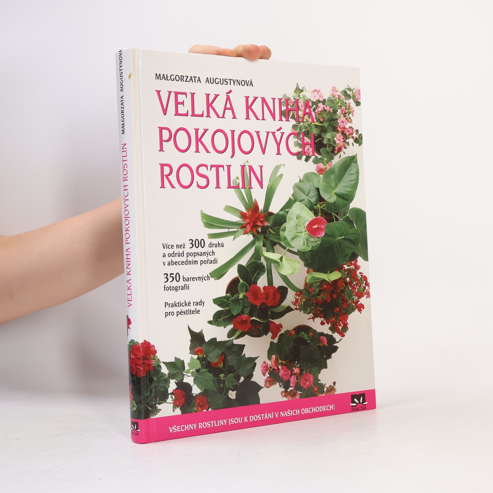 Małgorzata Augustyn Velká kniha pokojových rostlin