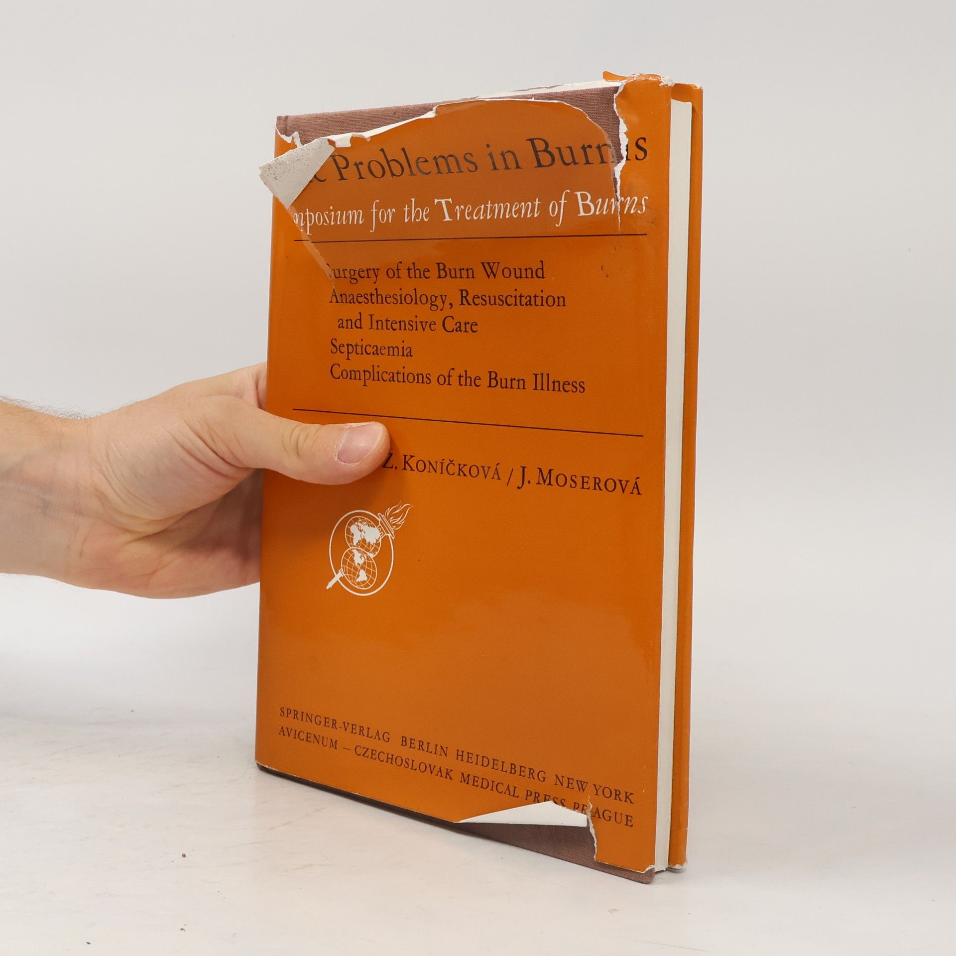 R. Vrabec Basic Problems in Burns