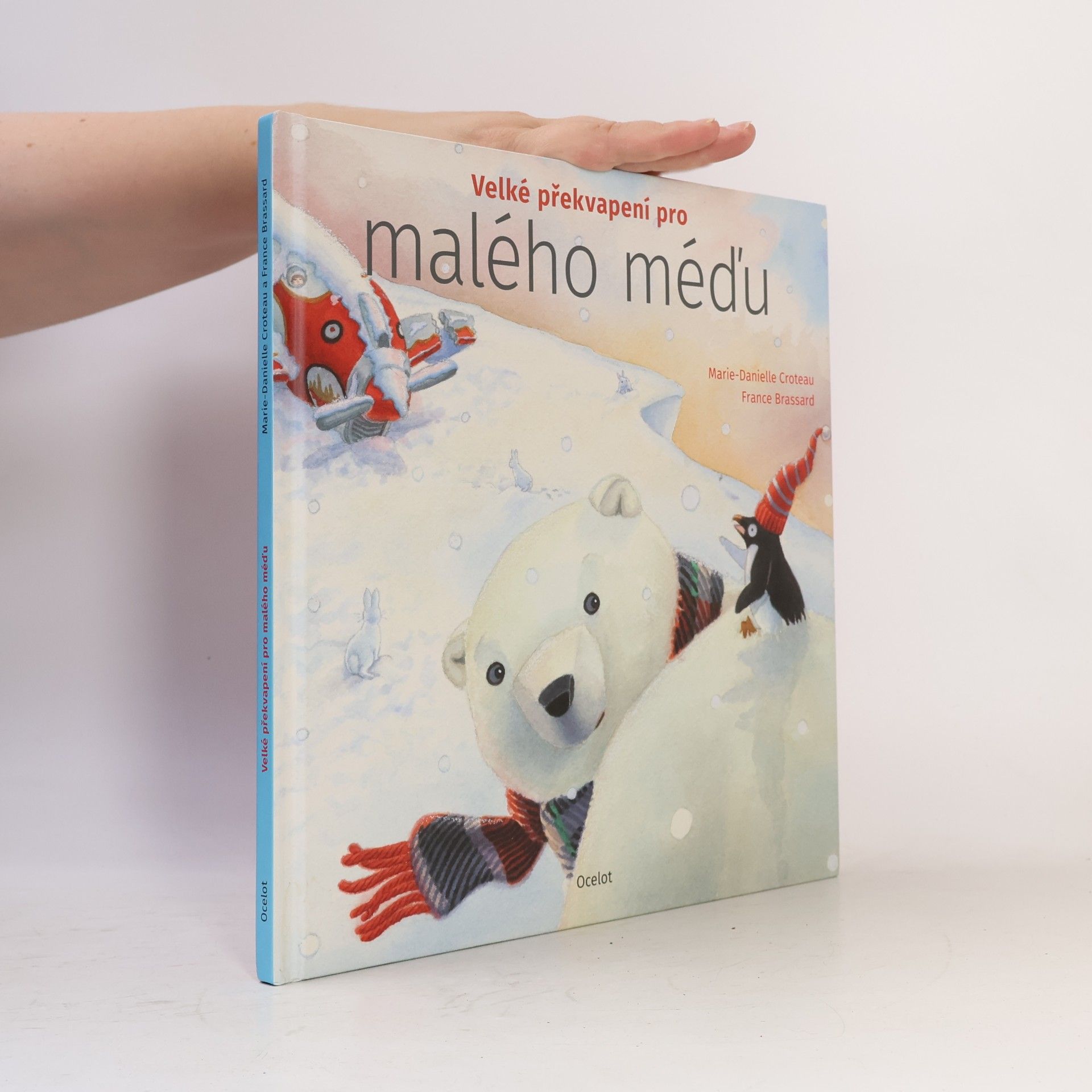 MarieDanielle Croteau Velké překvapení pro malého méďu
