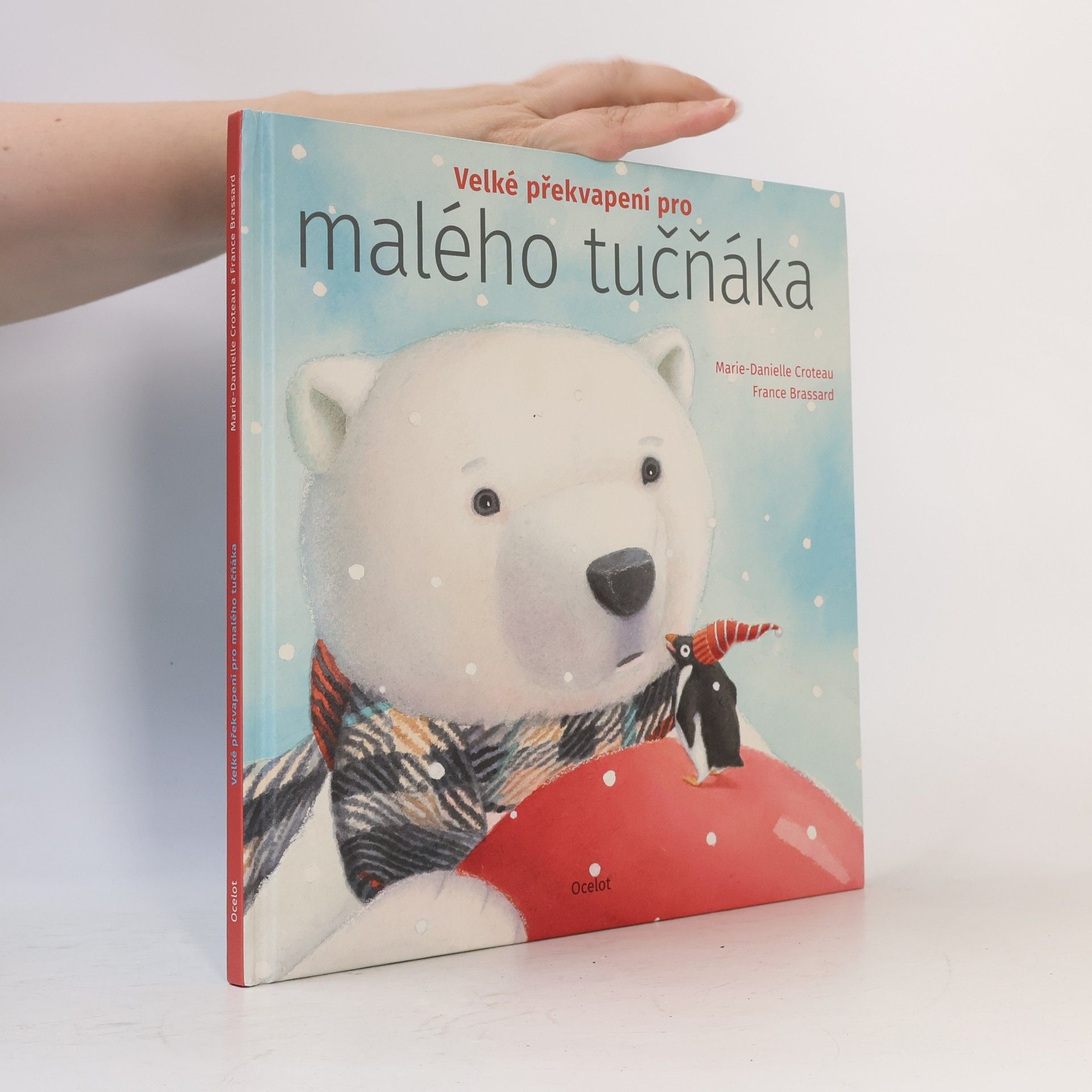 MarieDanielle Croteau Velké překvapení pro malého tučňáka
