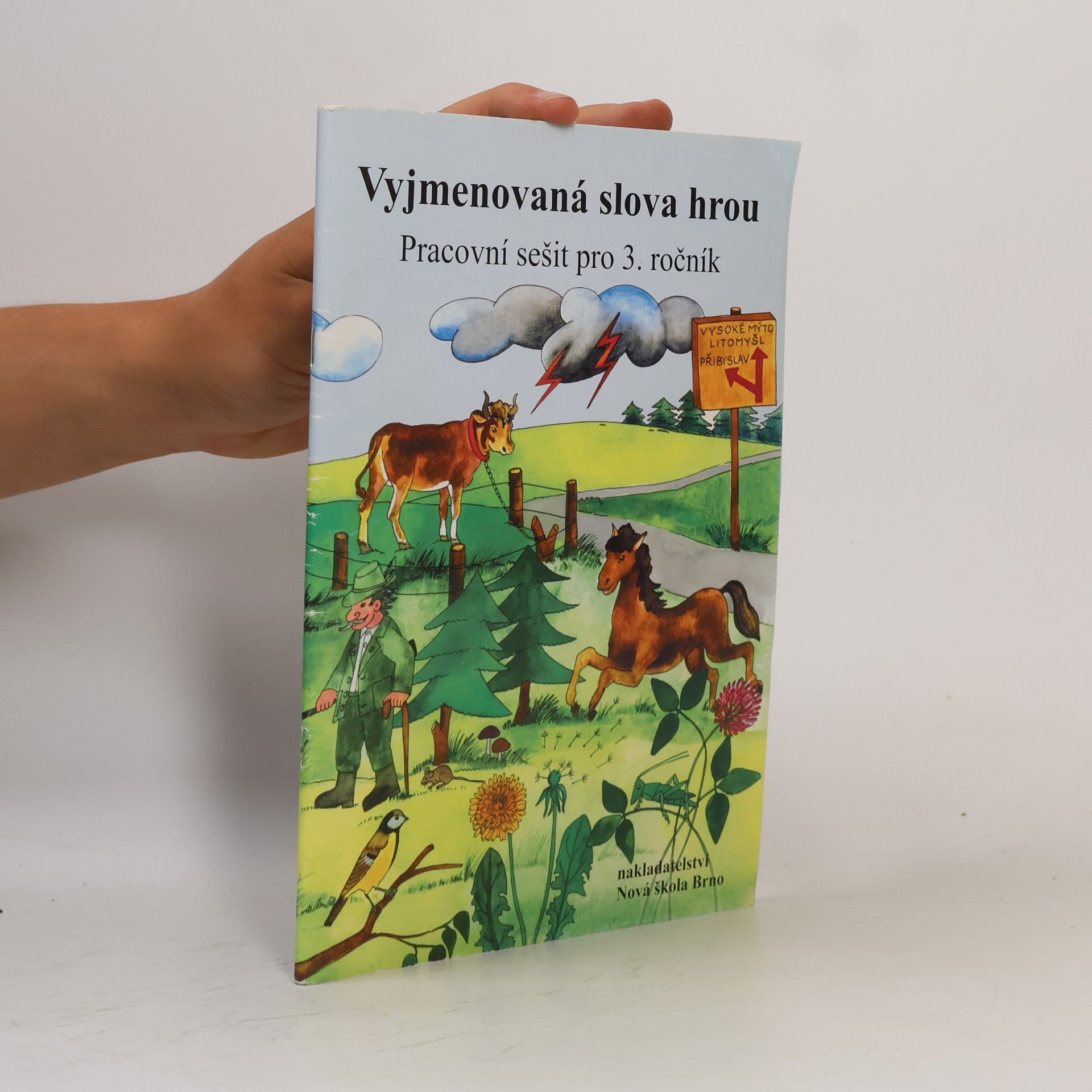 AA.VV. Vyjmenovaná slova hrou. Pracovní sešit pro 3. ročník
