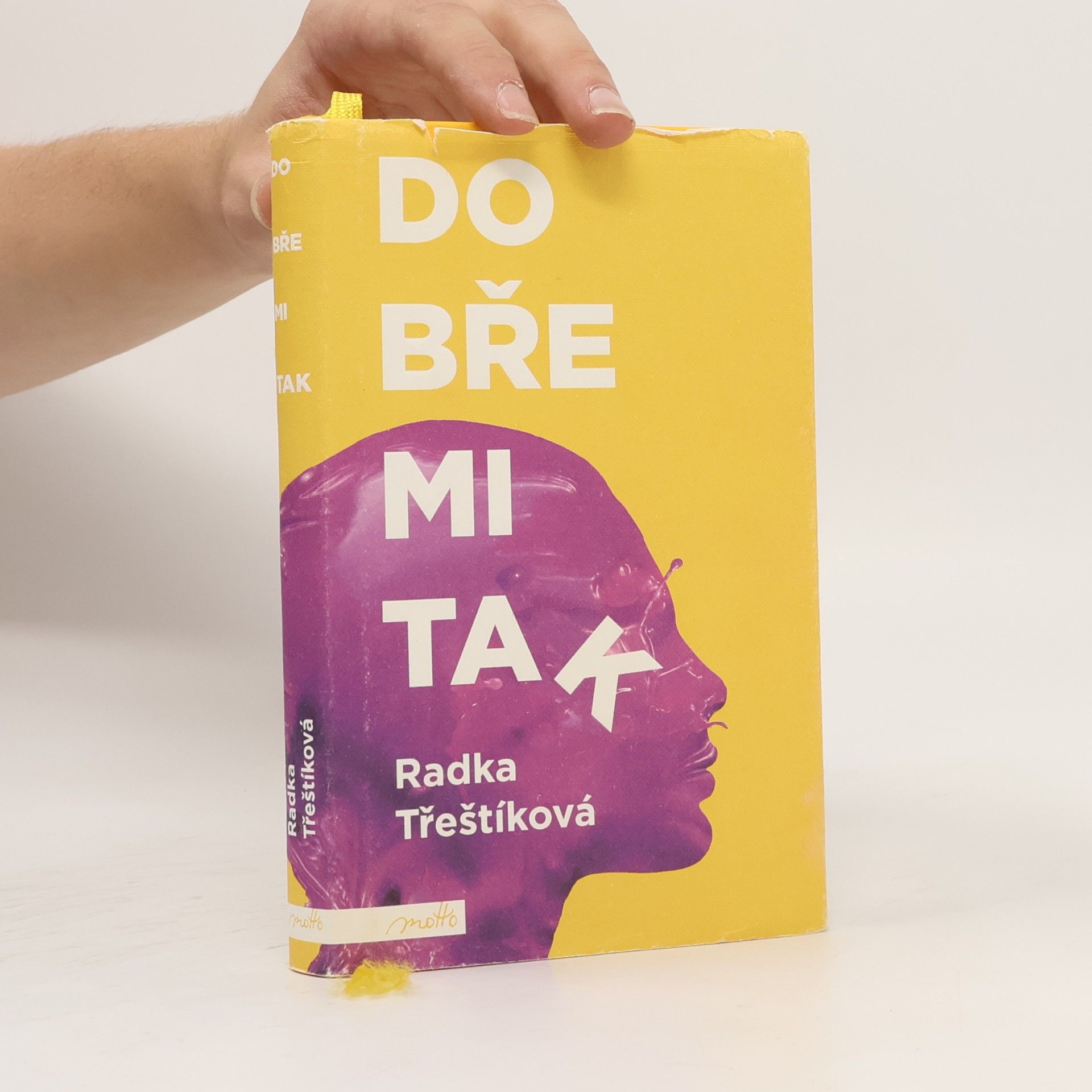 Radka Třeštíková Dobře mi tak
