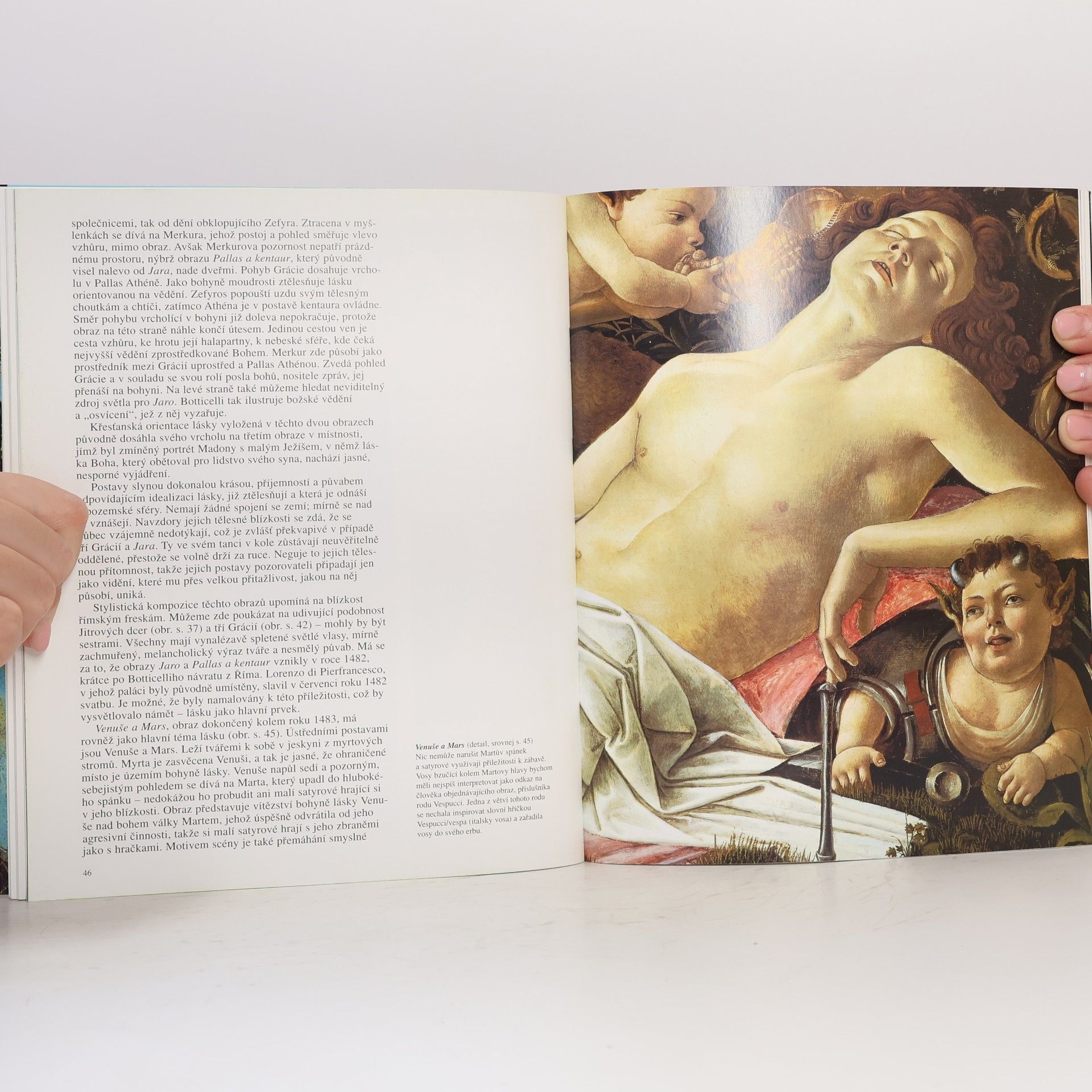 Barbara Deimling Sandro Botticelli