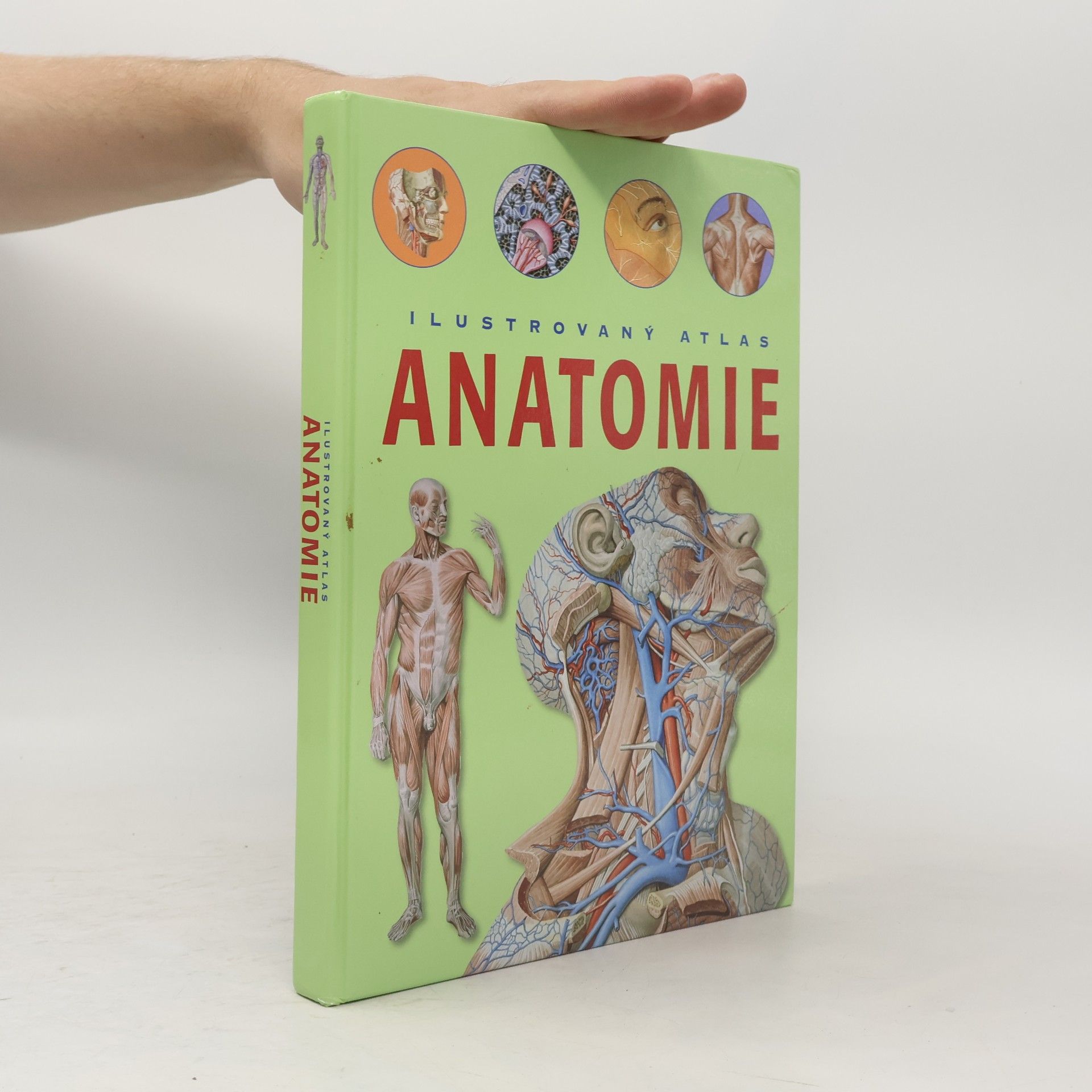 Adriana Rigutti Ilustrovaný atlas anatomie