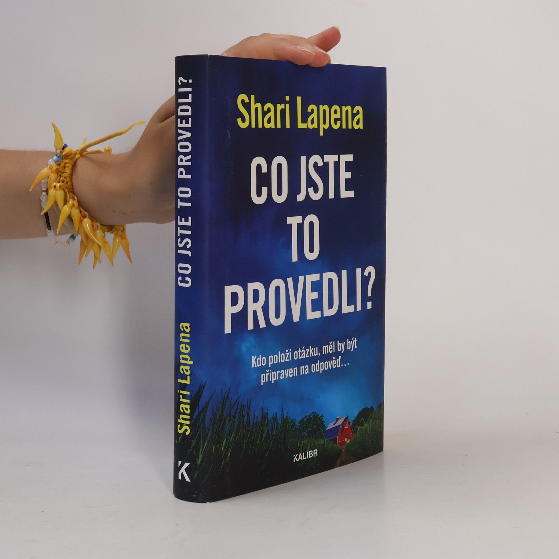 Shari Lapena Co jste to provedli?