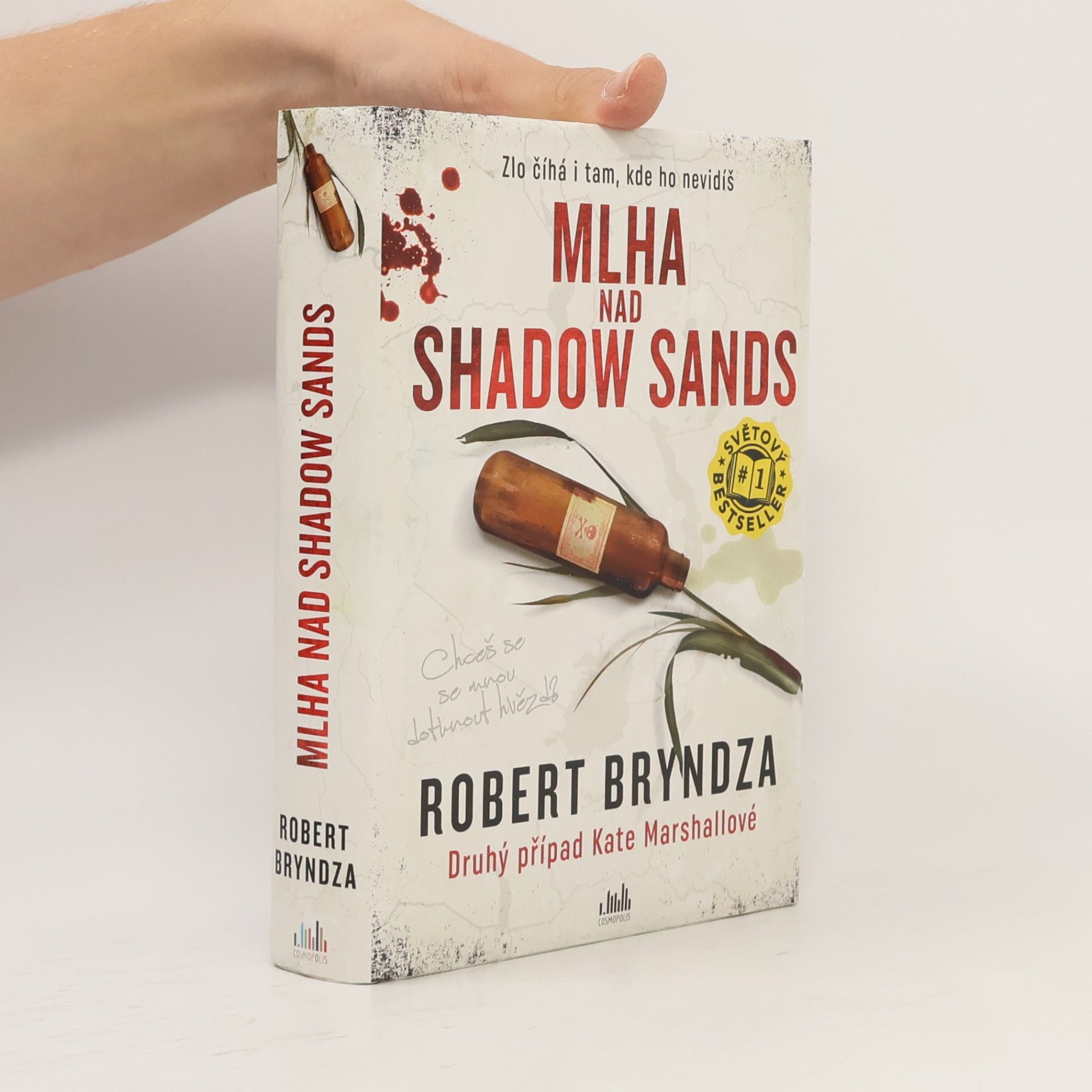 Robert Bryndza Mlha nad Shadow Sands