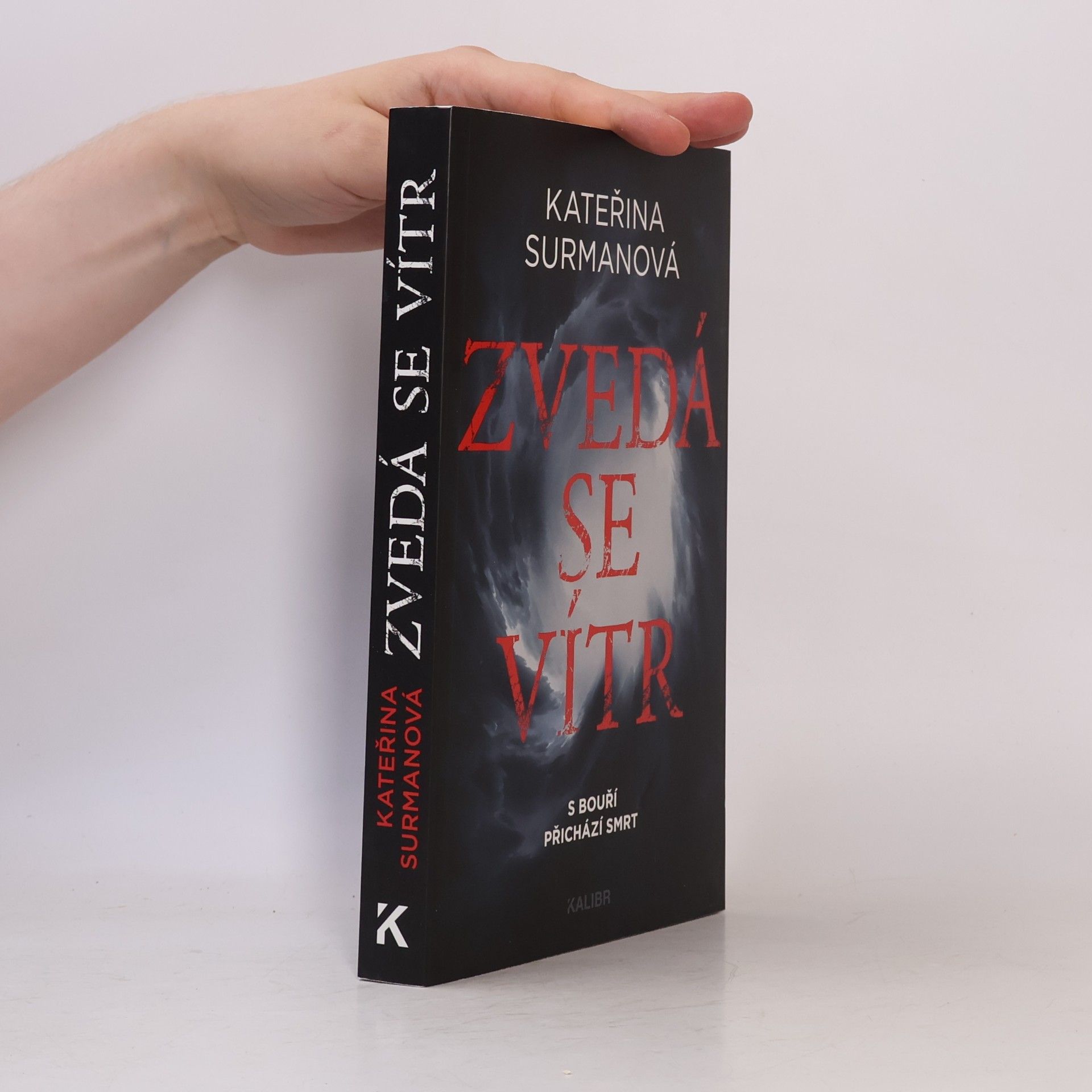 Kateřina Surmanová Zvedá se vítr