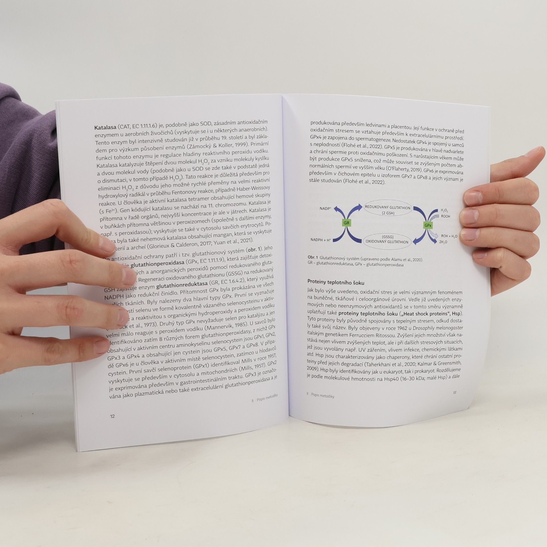 Kolektiv autorů Biochemické analýzy krve pro stanovení oxidačního stresu skotu