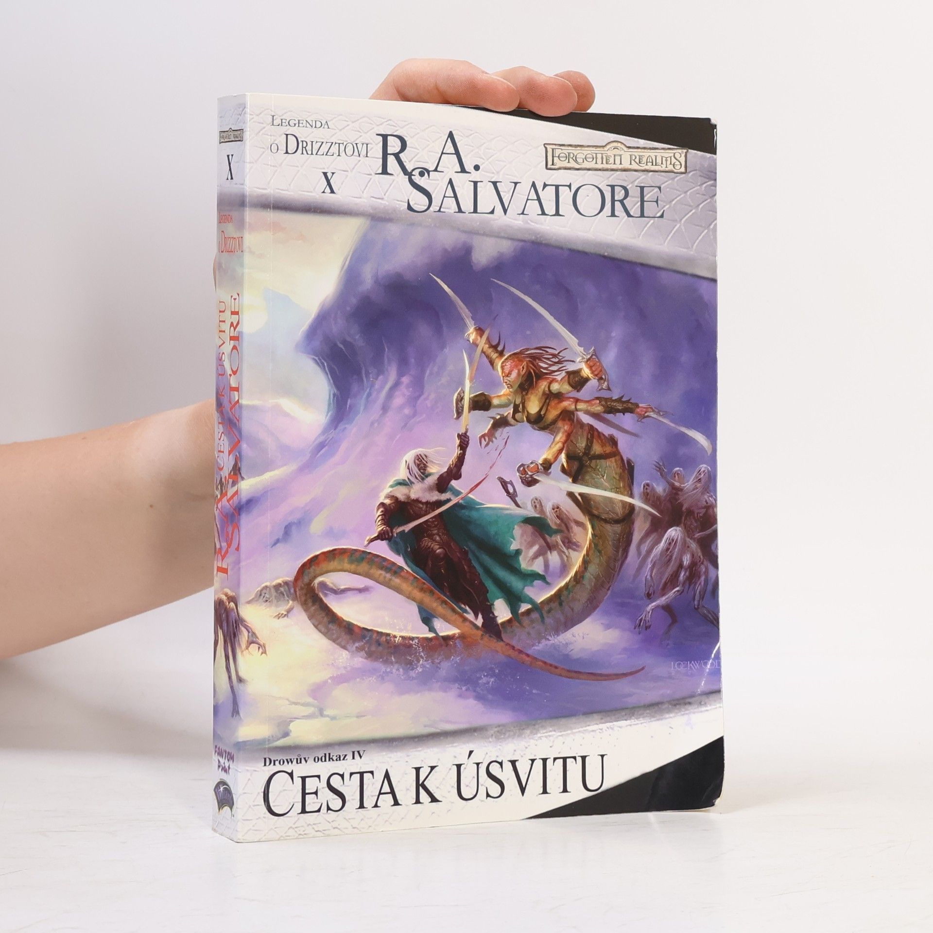 Robert Anthony Salvatore Drowův odkaz IV. Cesta k úsvitu