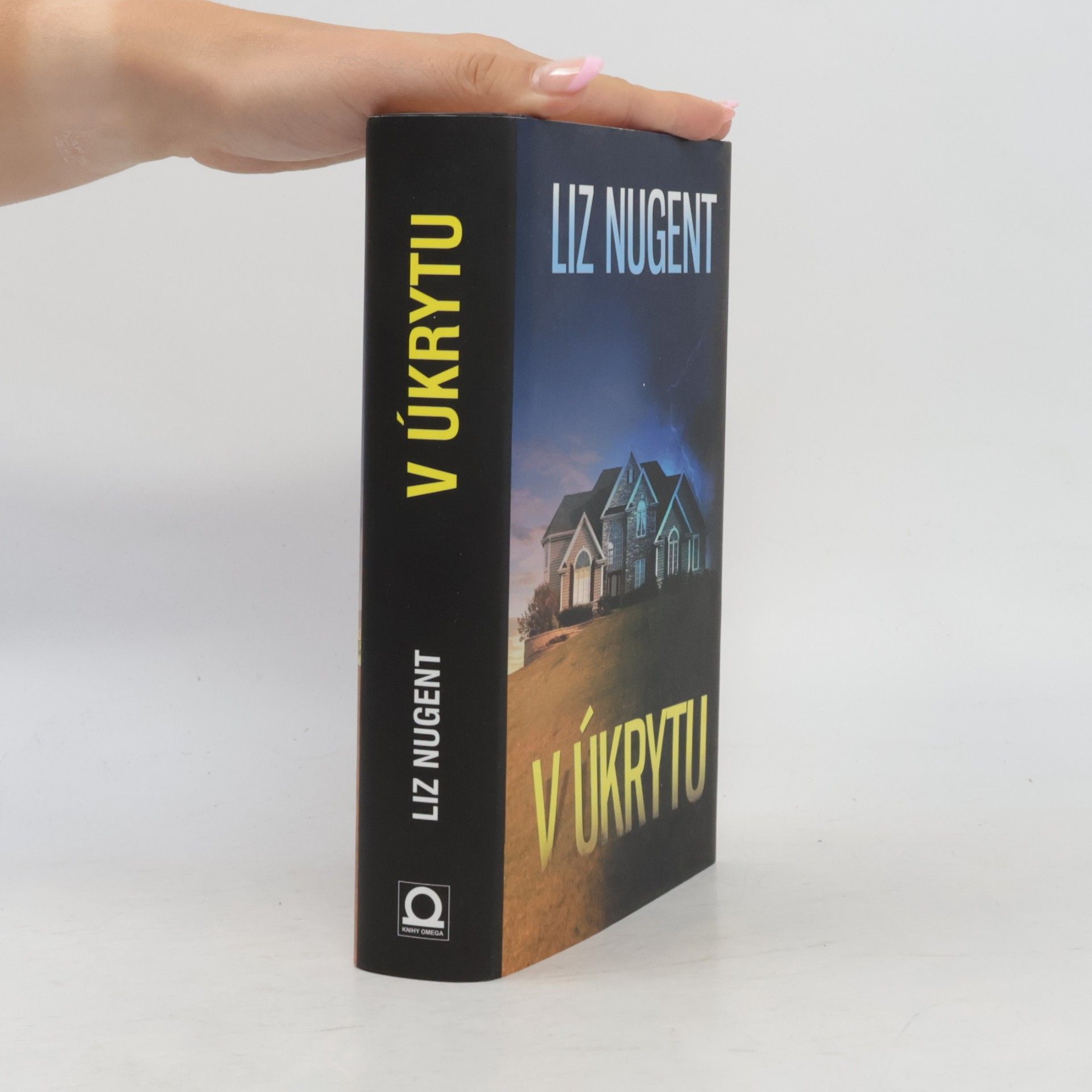 Liz Nugent V úkrytu
