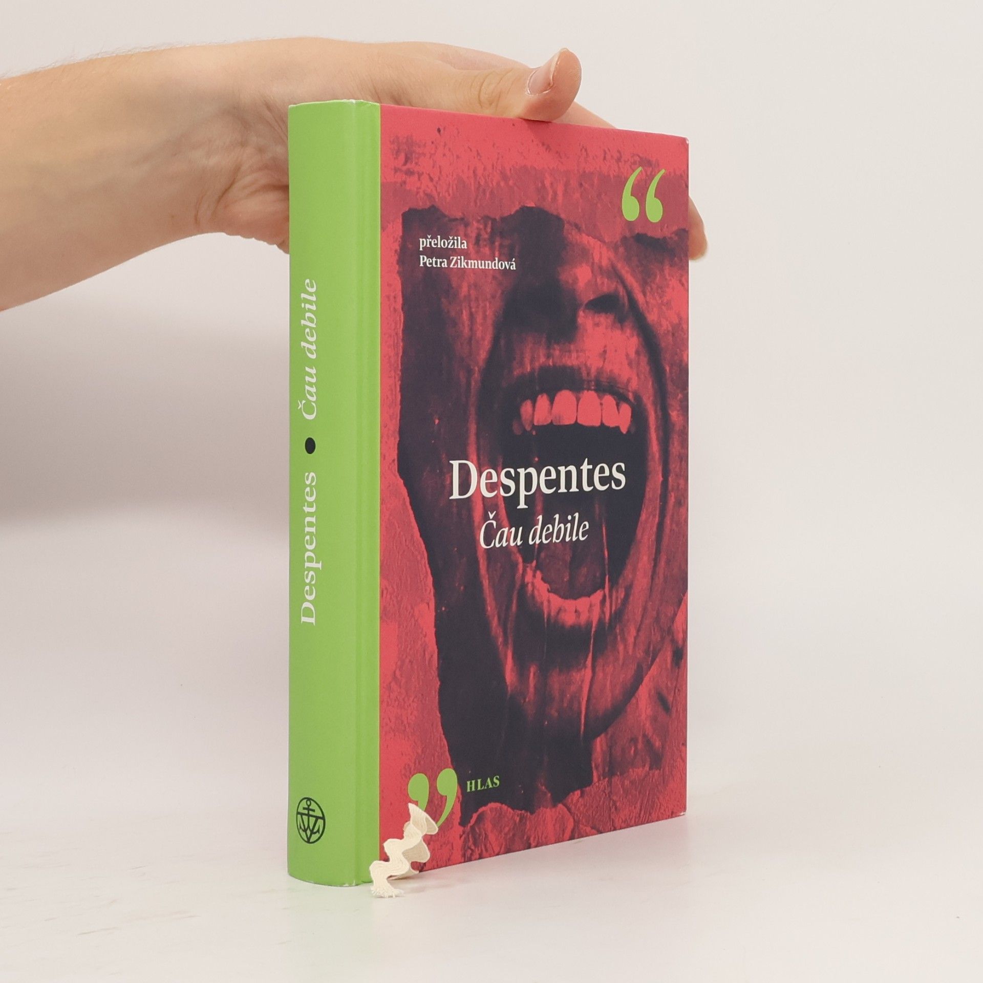 Virginie Despentes Čau debile