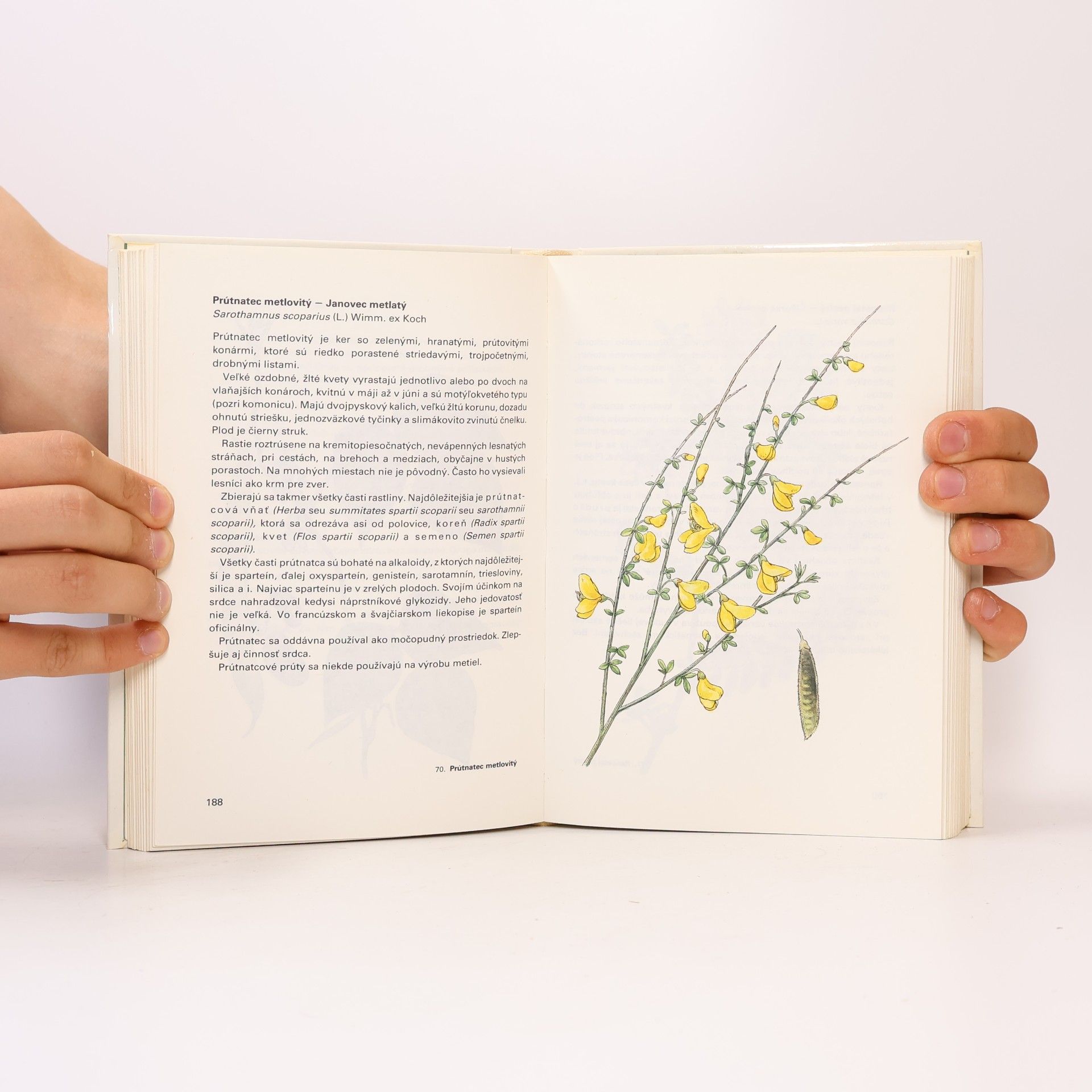 Jan Macků Atlas liečivých rastlín