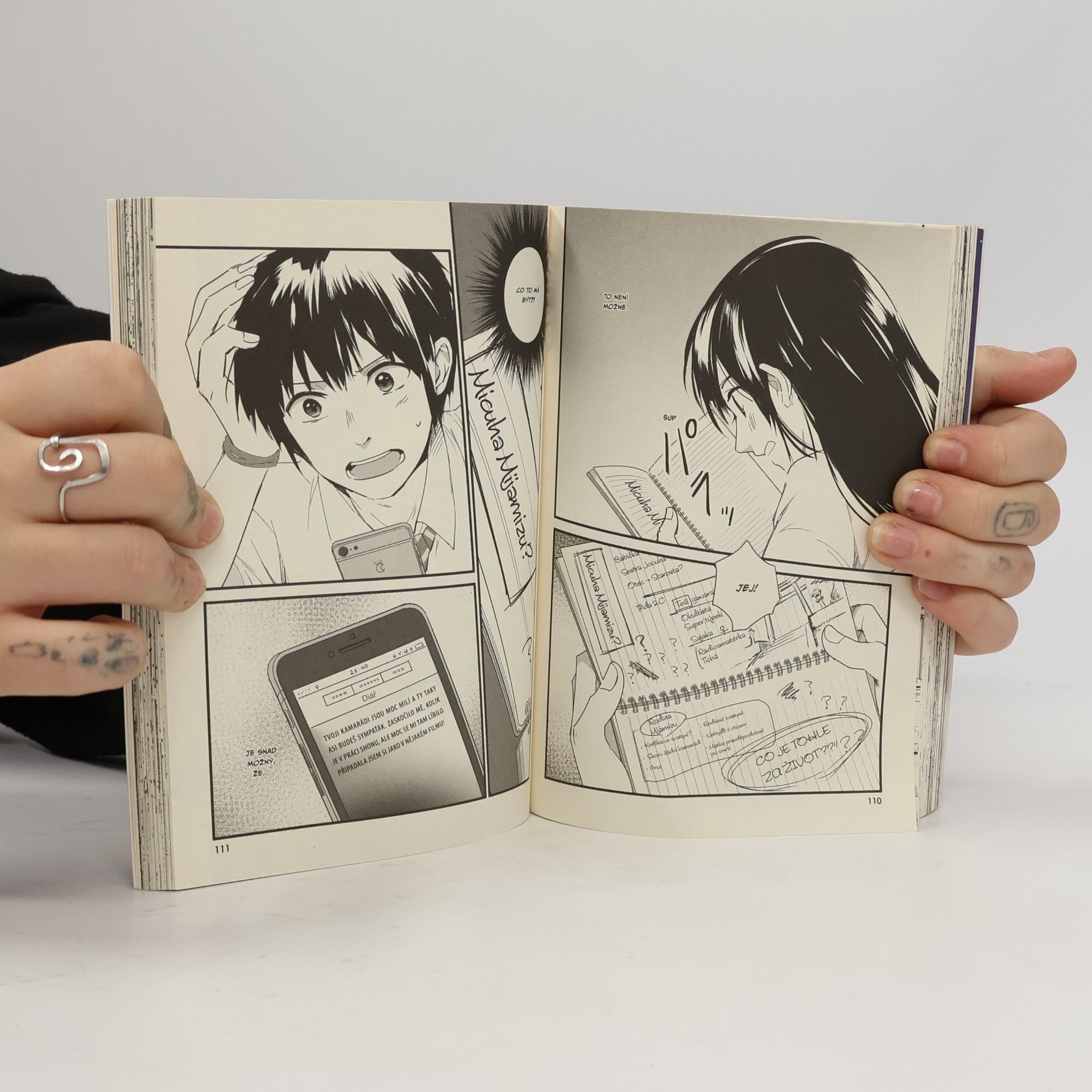 Makoto Šinkai To bylo tvé jméno 1