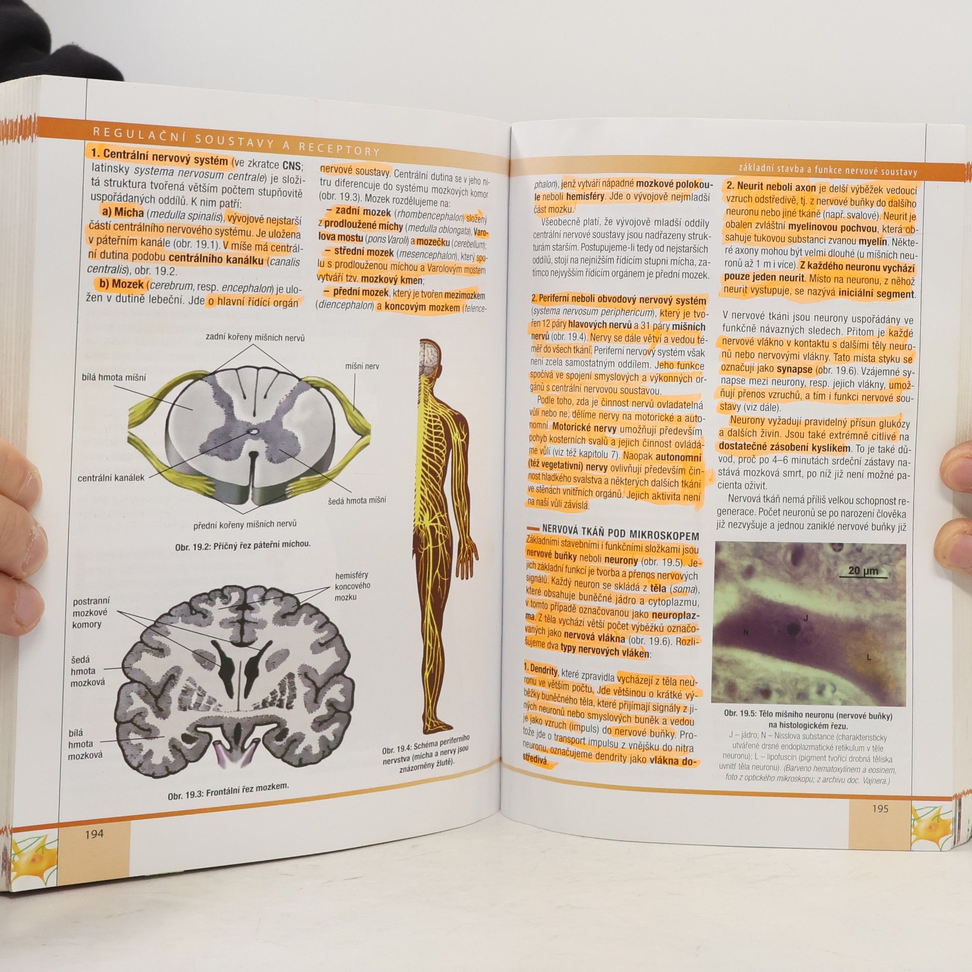 Eduard Kočárek Biologie člověka. 1, Somatologie, antropologie, fyziologie, imunologie