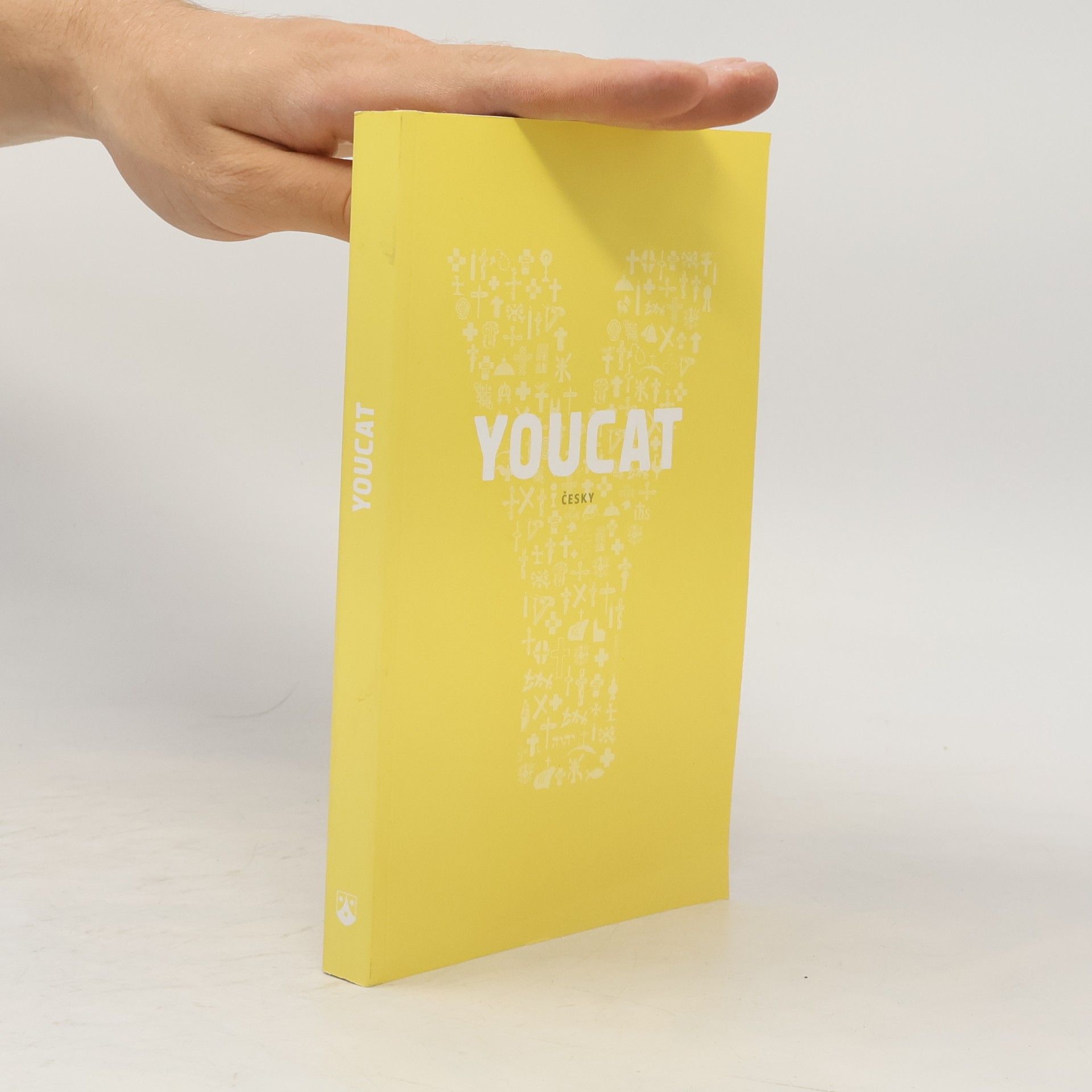 Collectif d'auteurs Youcat: katechismus katolické církve pro mladé