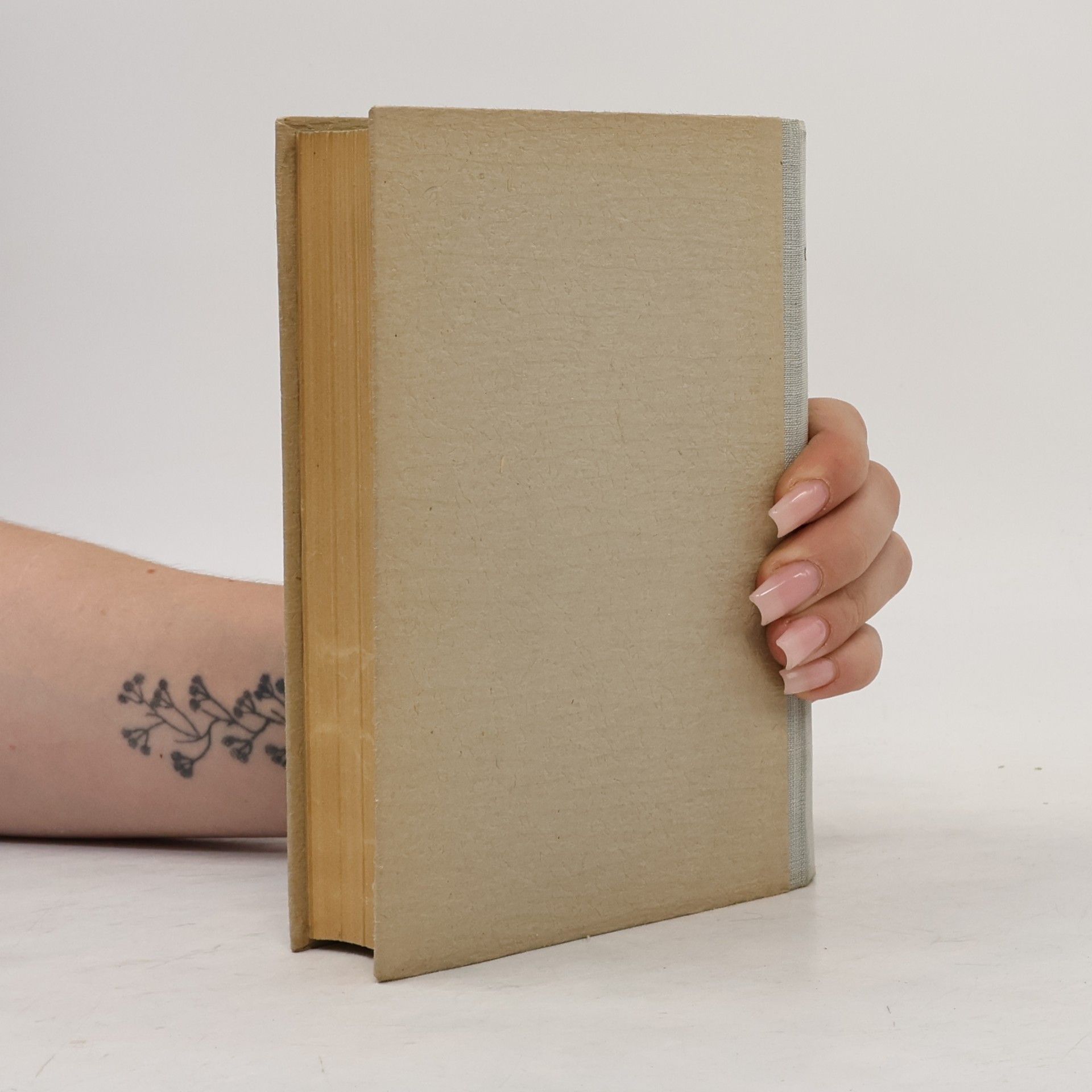 Gustave Flaubert Korespondence II.