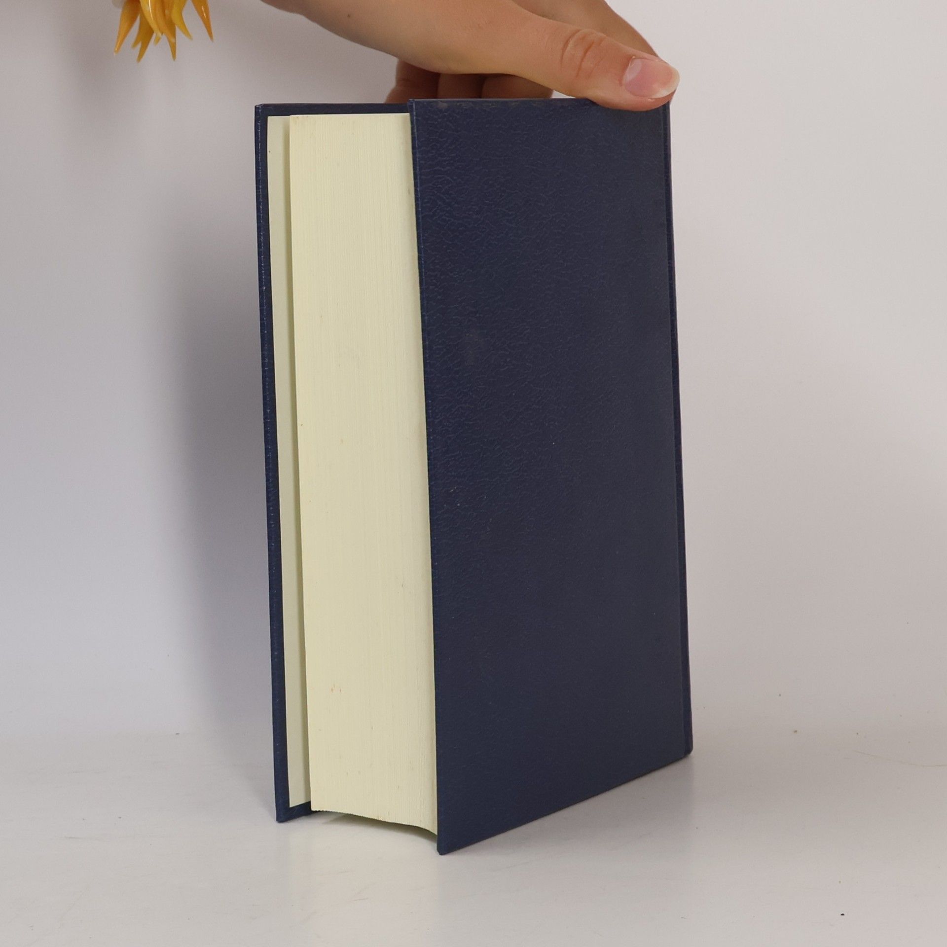 Collectif d'auteurs Bible : Písmo svaté Starého a Nového zákona (včetně deuterokanonických knih)