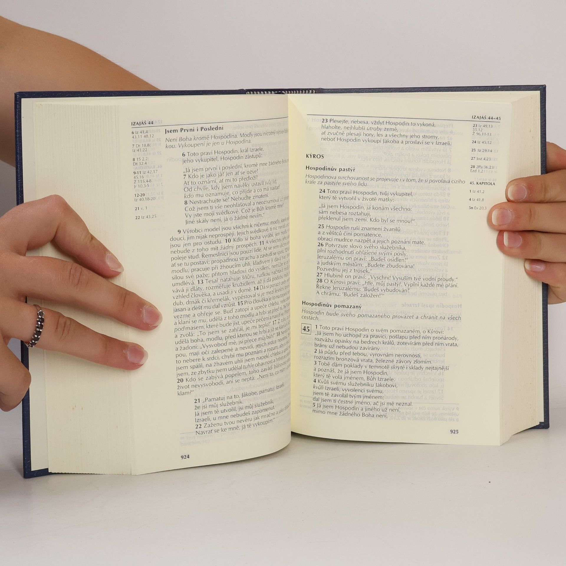 Collectif d'auteurs Bible : Písmo svaté Starého a Nového zákona (včetně deuterokanonických knih)
