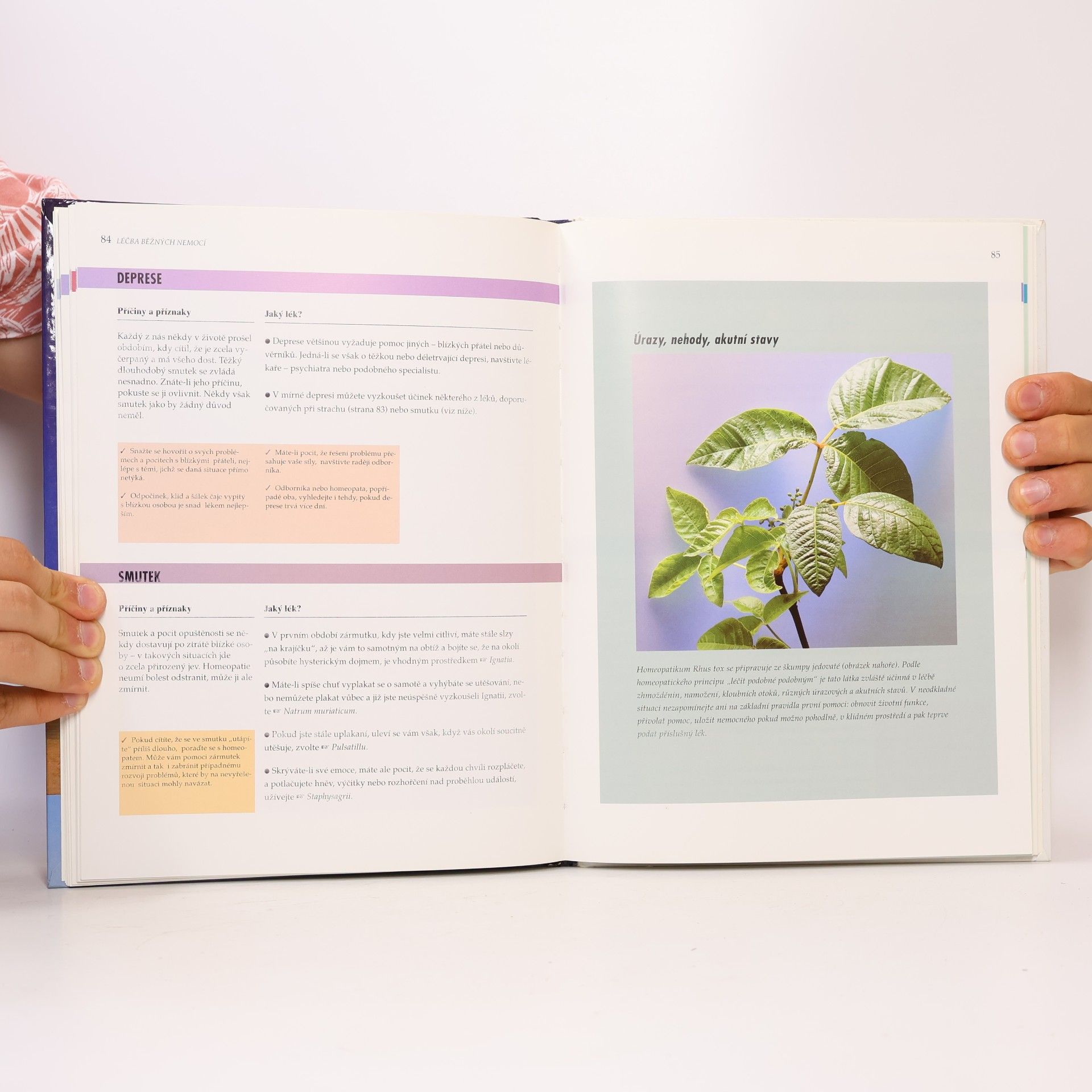 Robin Hayfield Homeopatie. Praktický průvodce každodenní péčí o zdraví