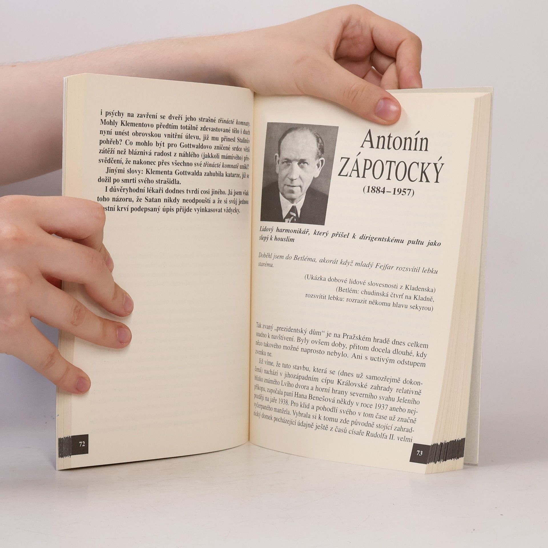 Václav Junek Třinácté komnaty našich prezidentů