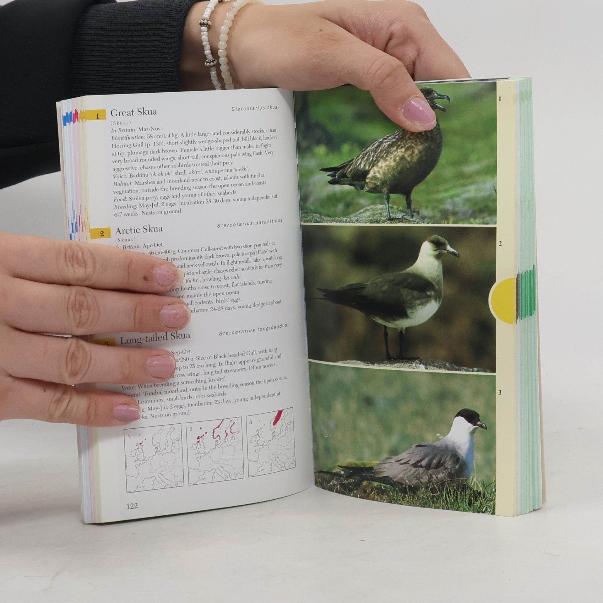 Jürgen Nicolai Birds of Britain & Europe